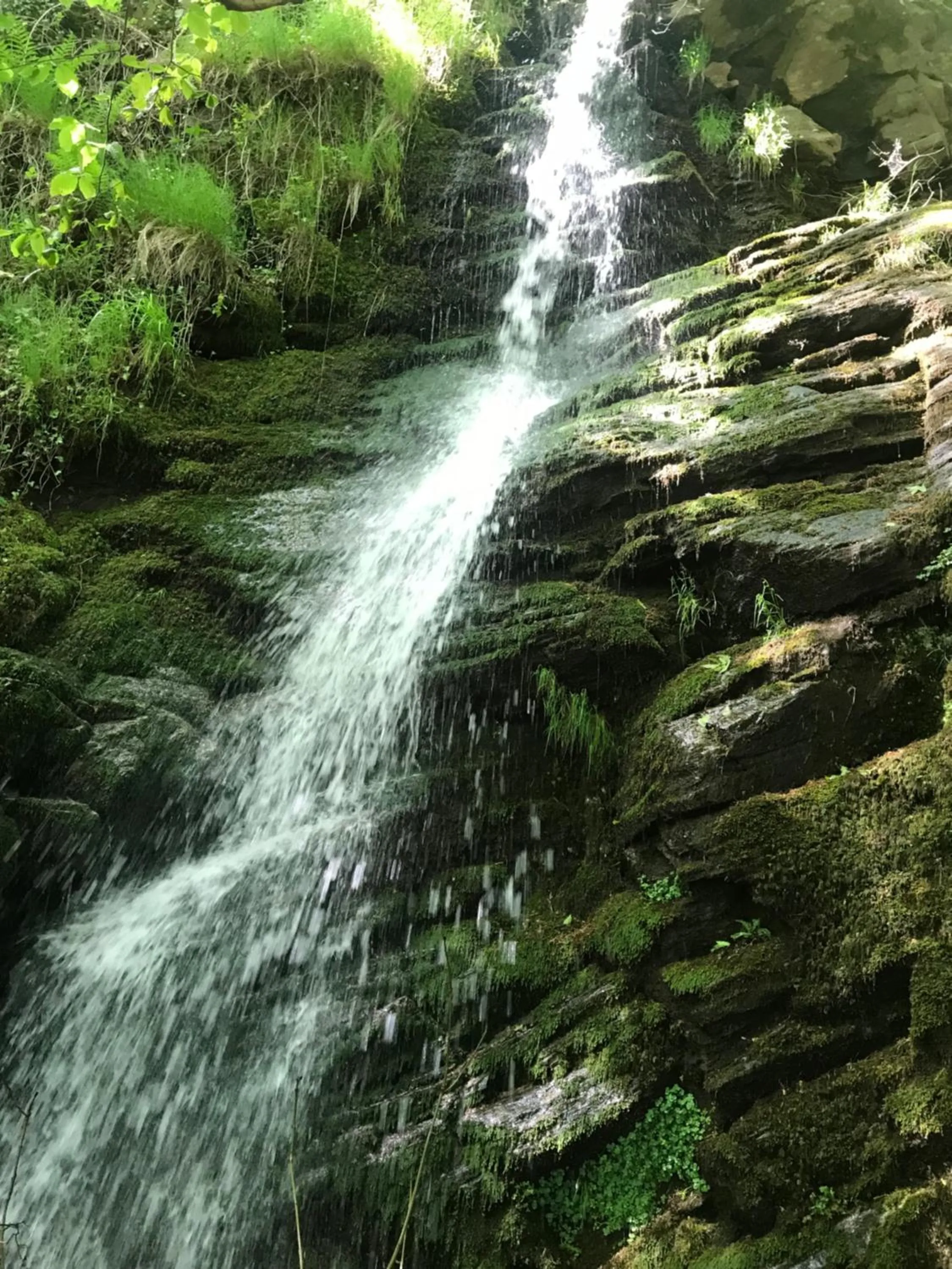 Logis Hôtel-restaurant Les Coudercous