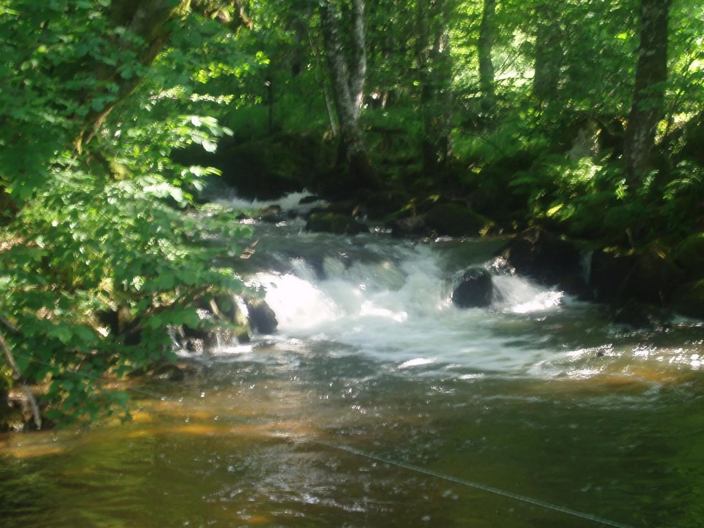 Area and facilities in Logis Hôtel-restaurant Les Coudercous