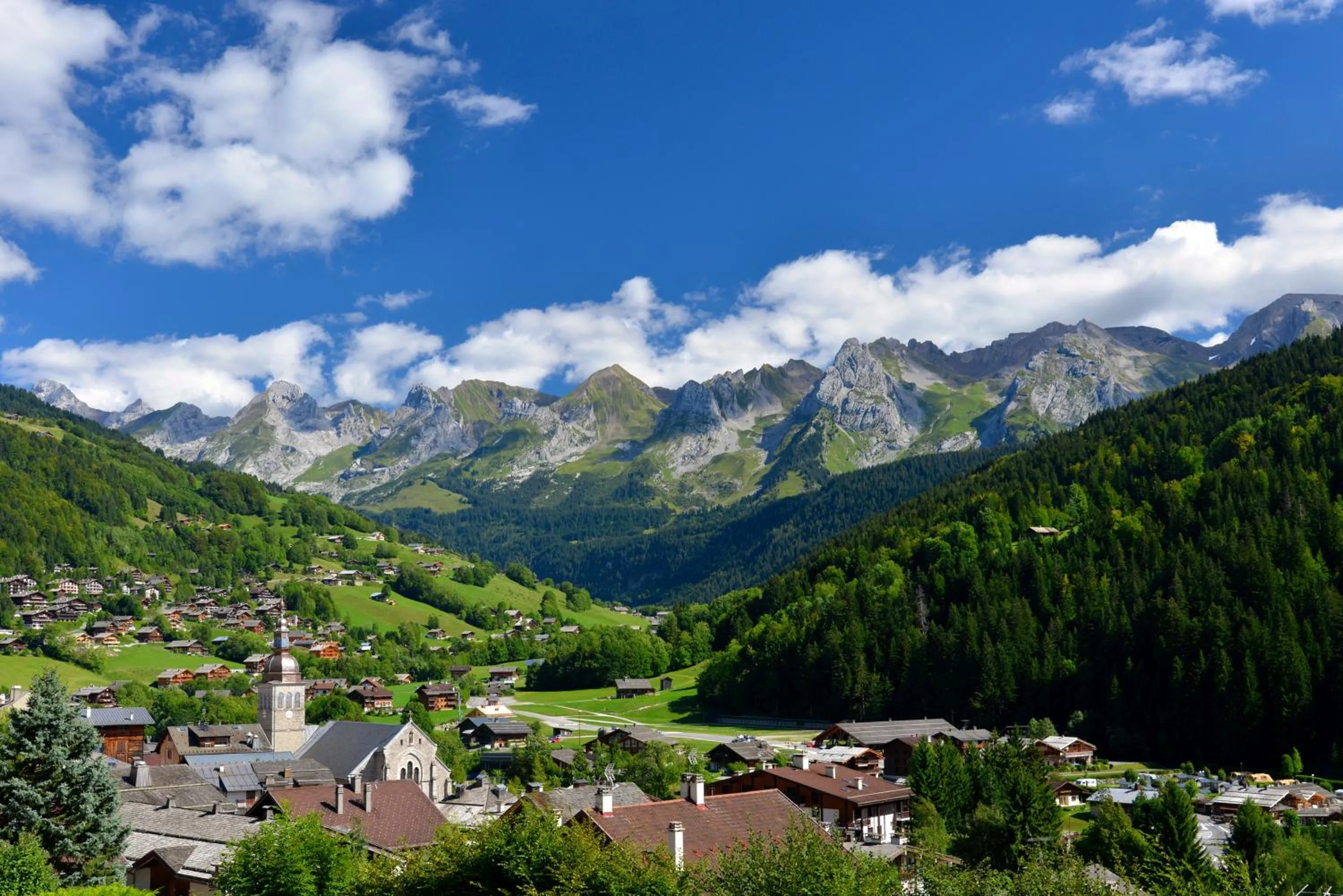 Summer in Studio Bel'Alp