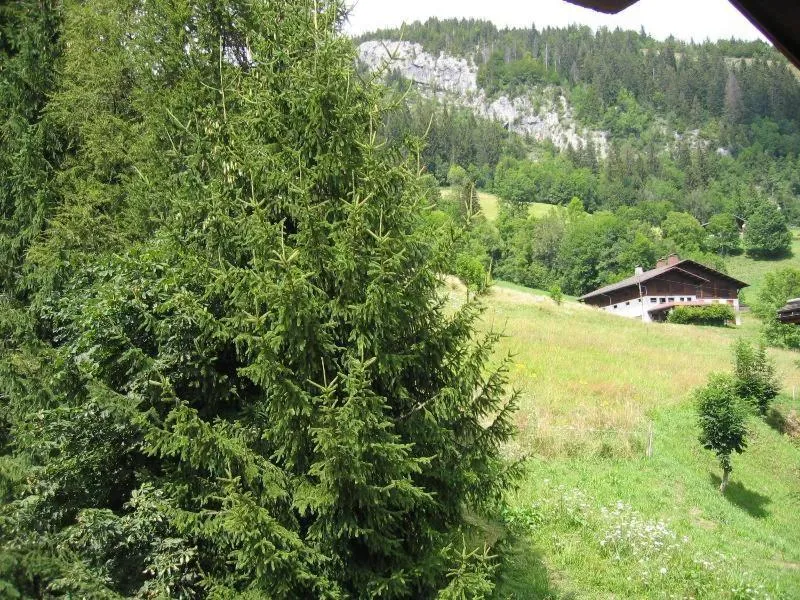 Mountain view in Studio Bel'Alp