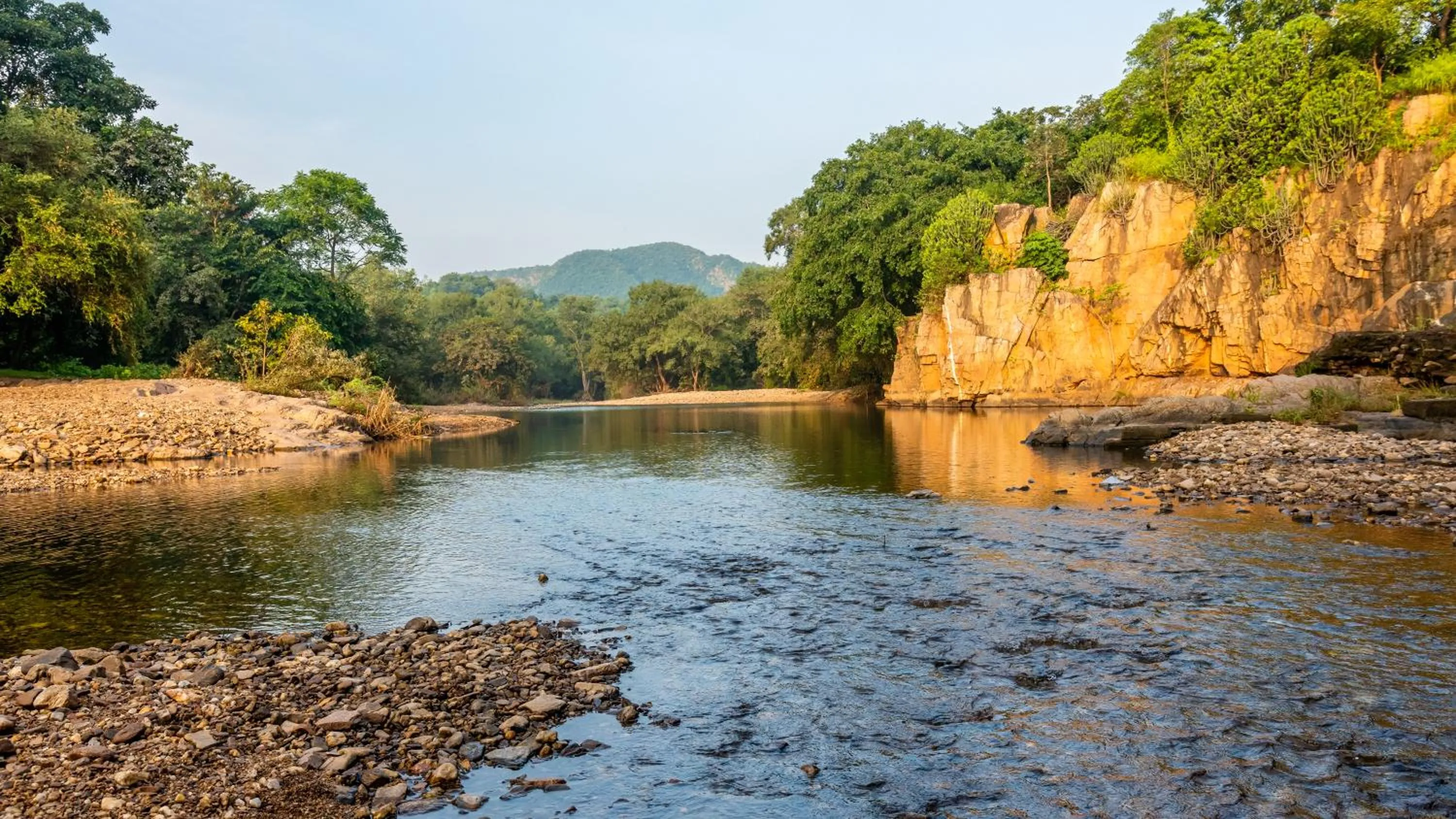 Natural landscape in The Fern Sattva Resort - Polo Forest