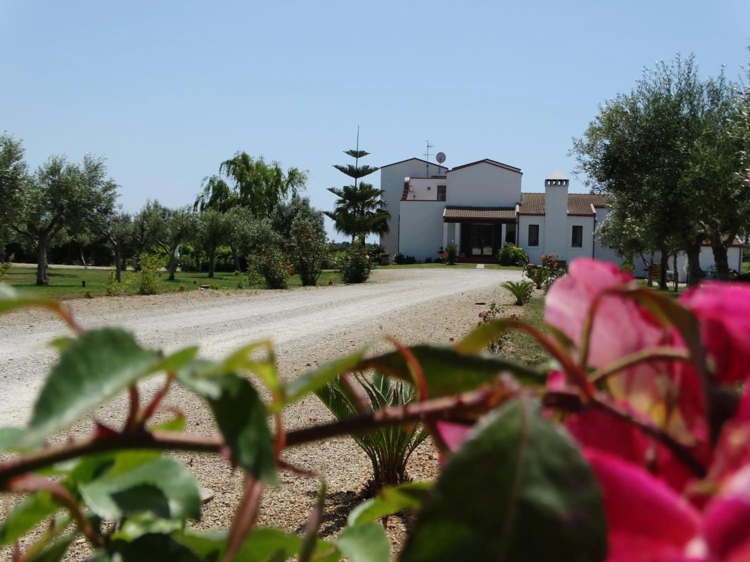 Facade/entrance in Il Pagio