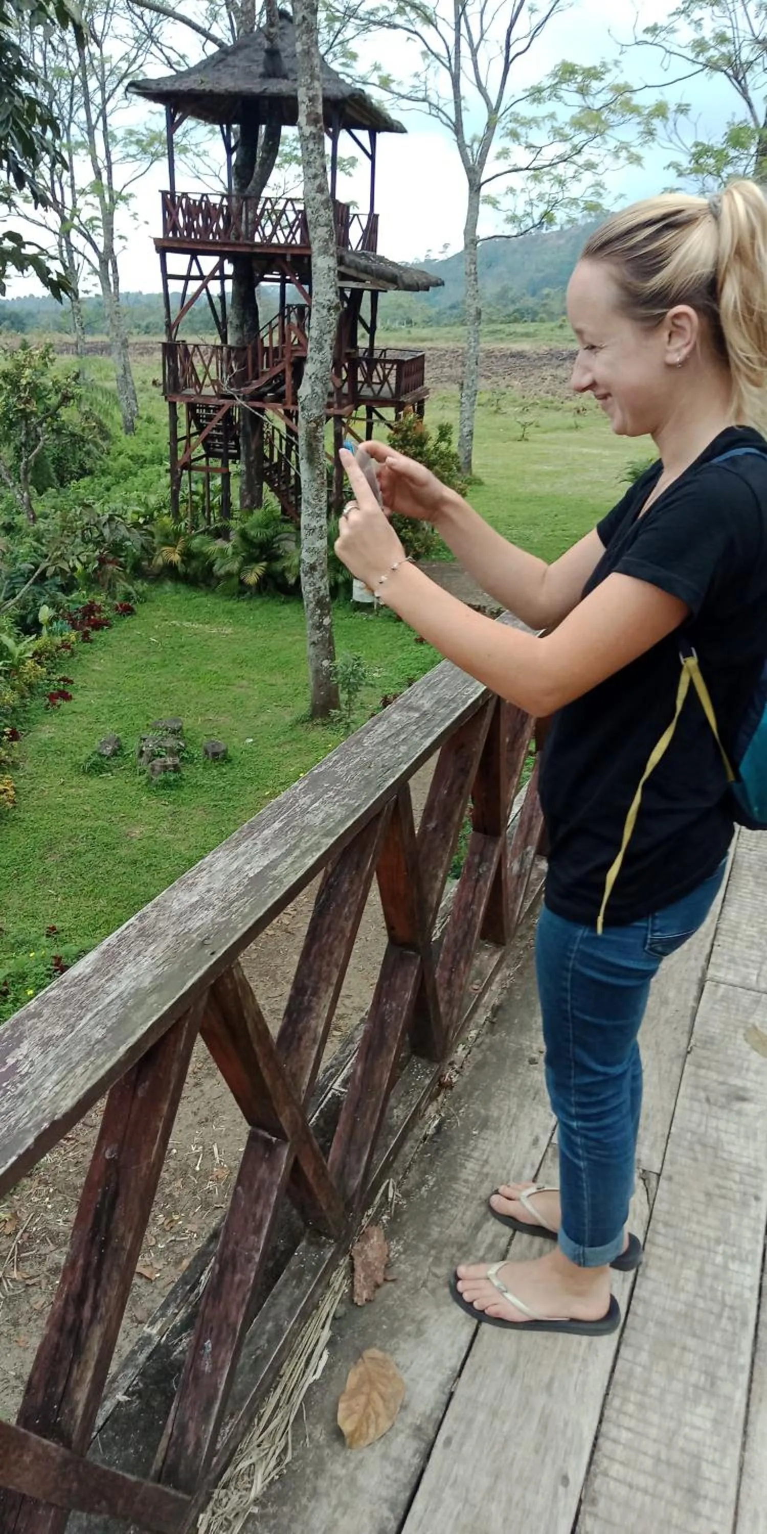 Garden in Cheap Inn Banyuwangi