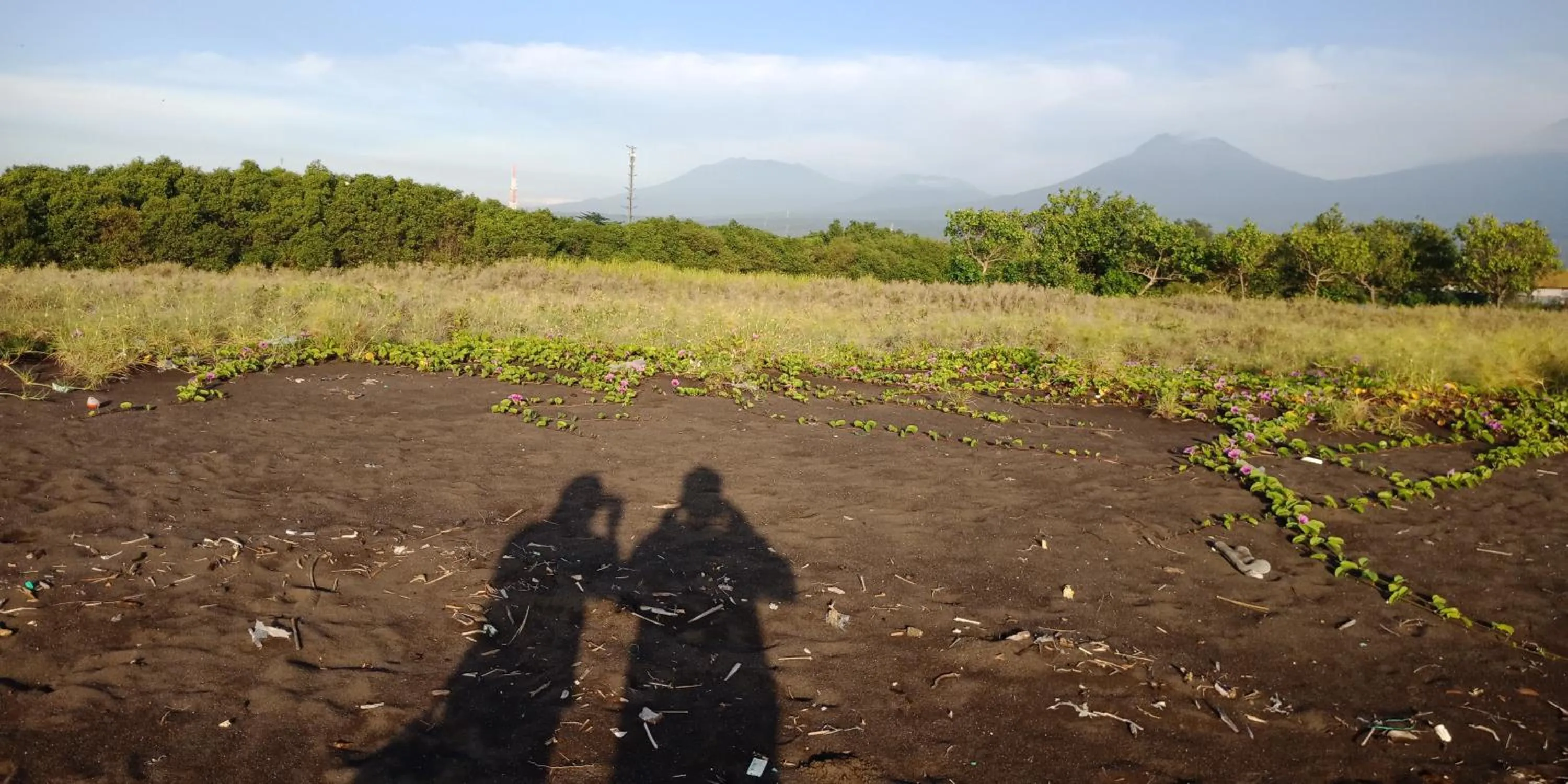 Beach in Cheap Inn Banyuwangi