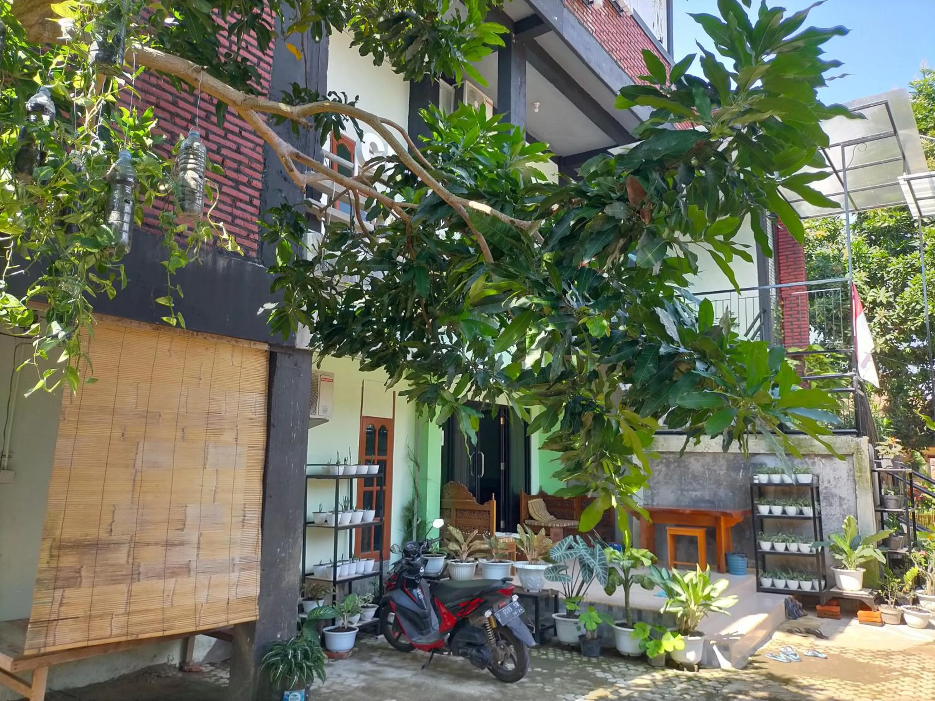 Property building in Cheap Inn Banyuwangi