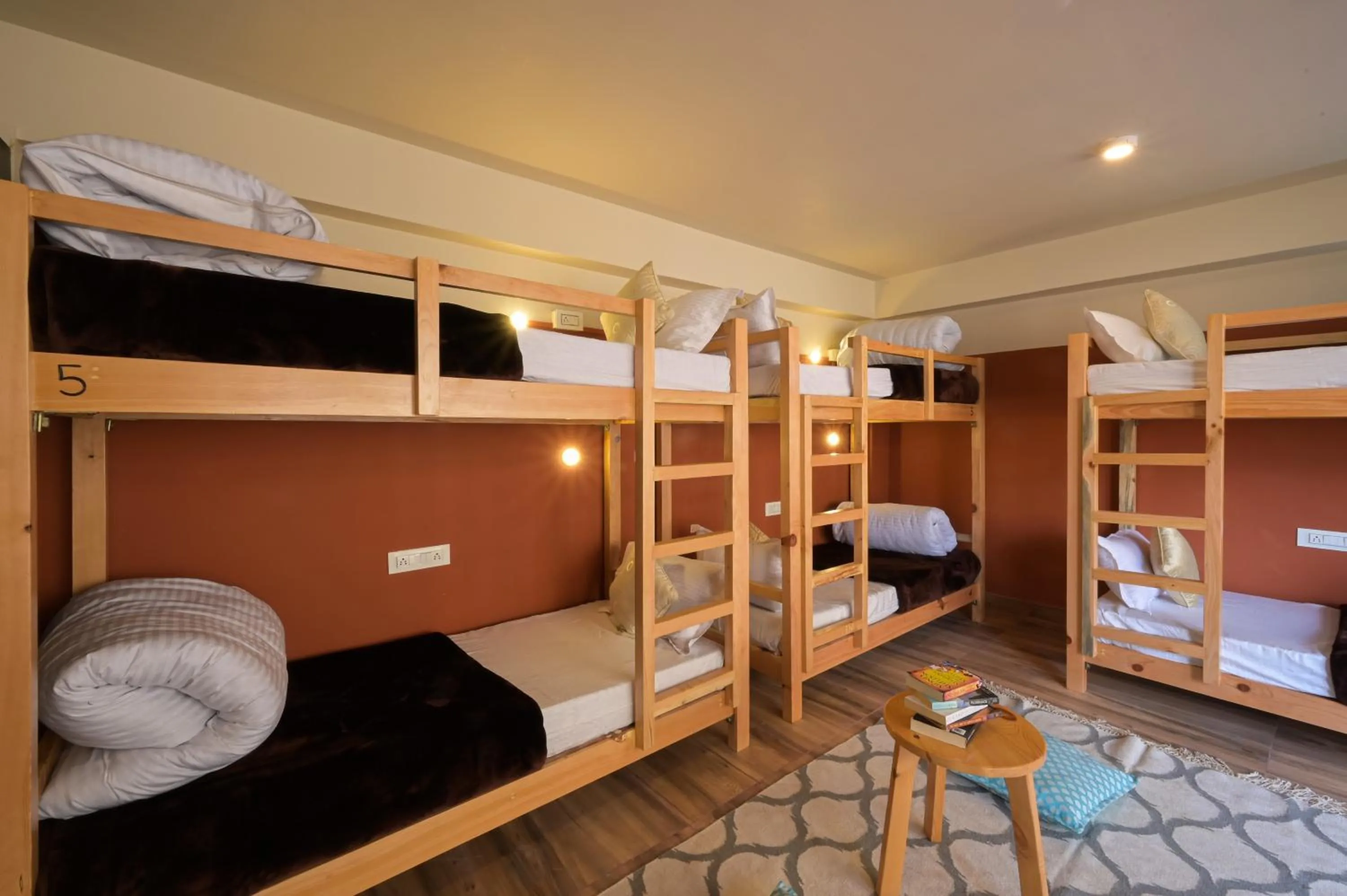 Bed in Zostel Dobhi, Manali