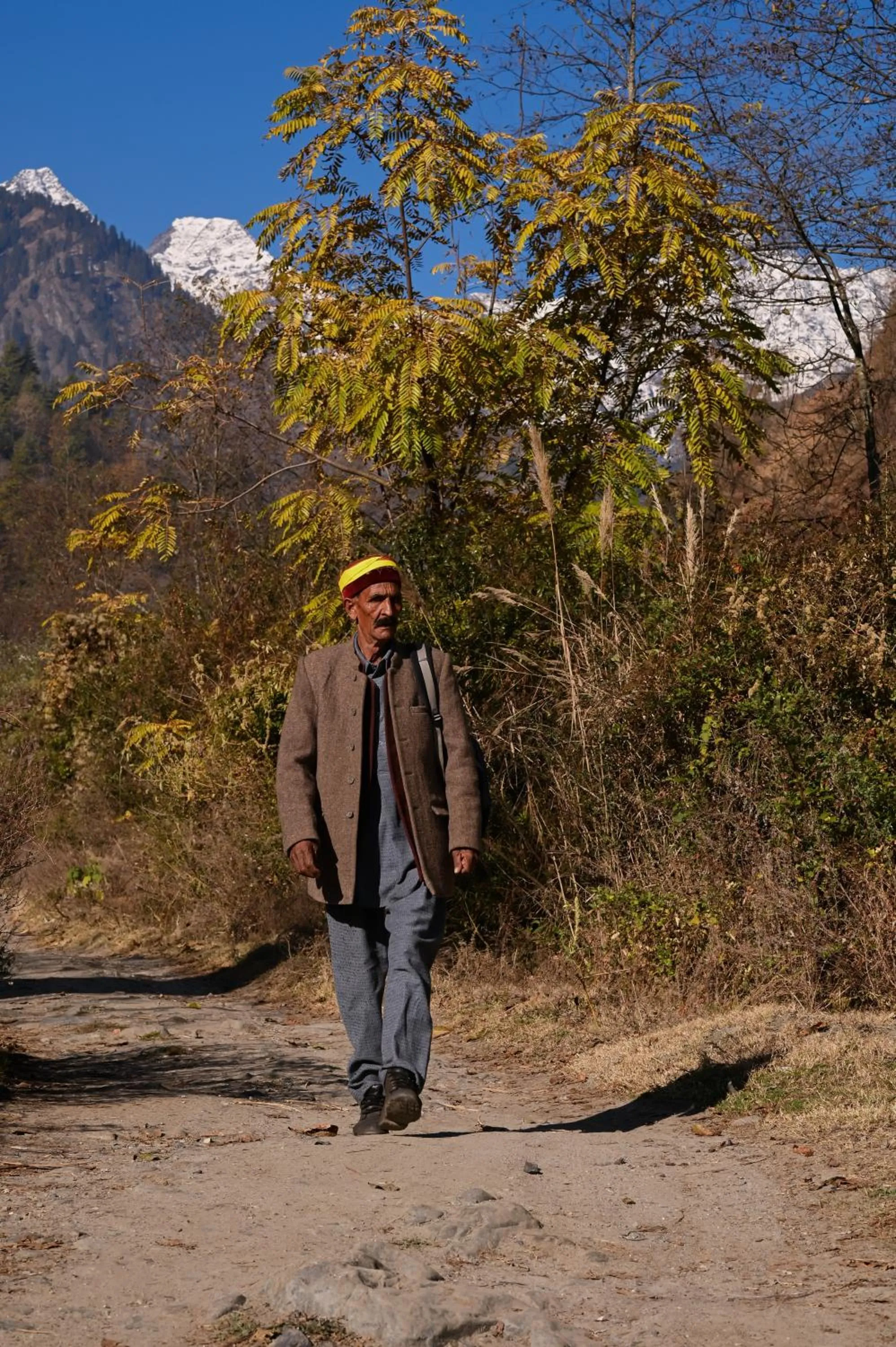 Day in Zostel Dobhi, Manali