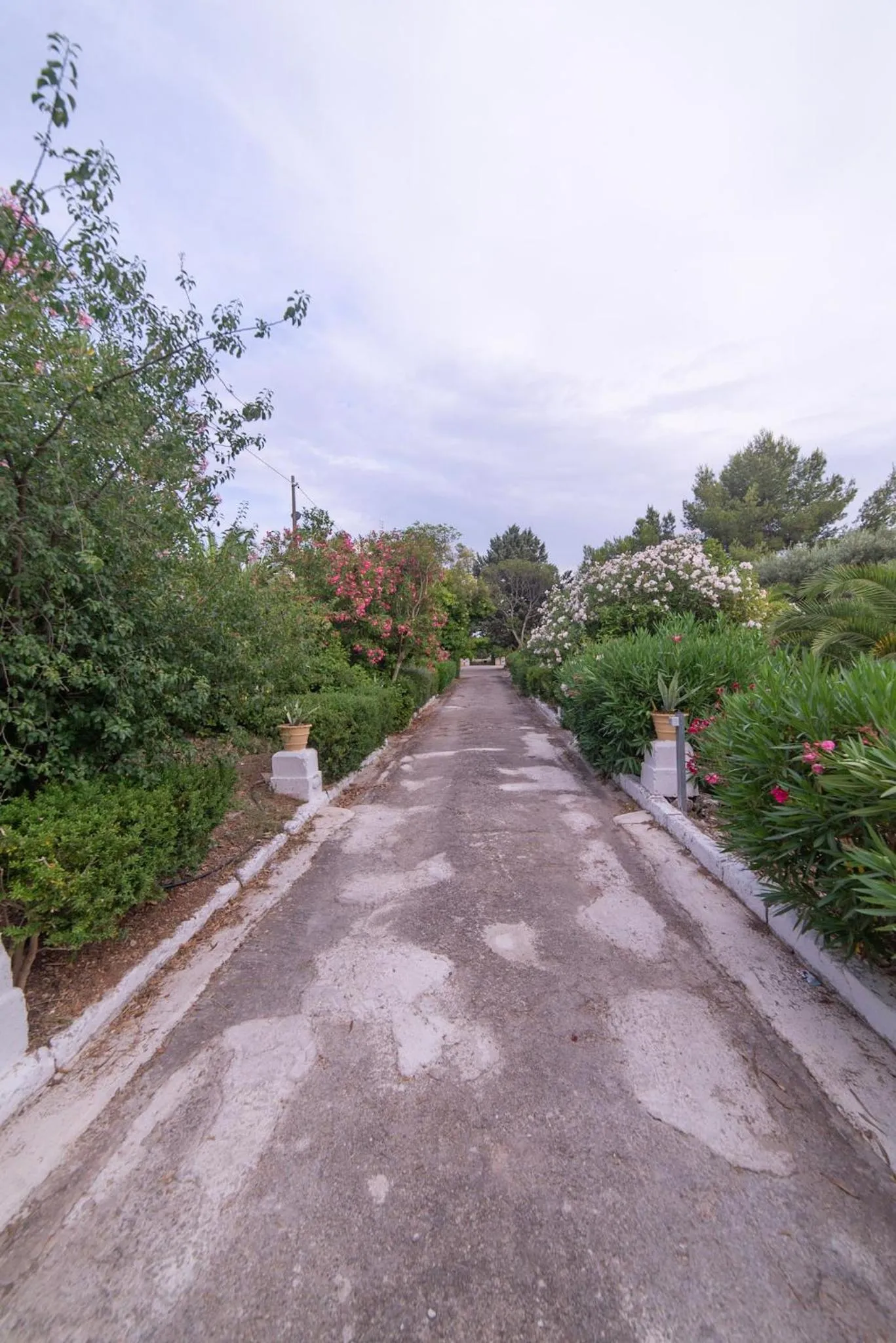 Property building in Villa Dea