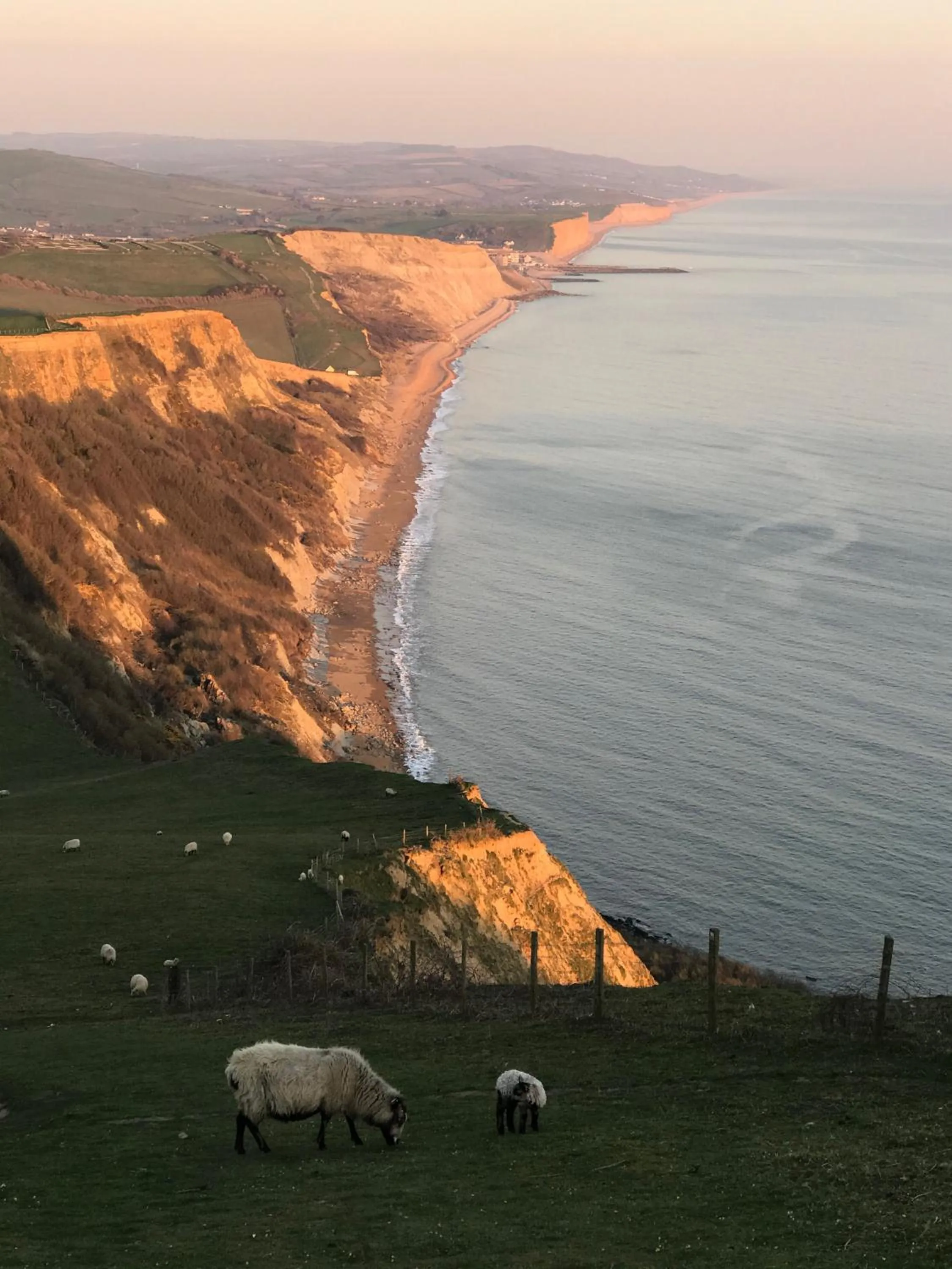 Heatherbell Cottage Guest Accommodation