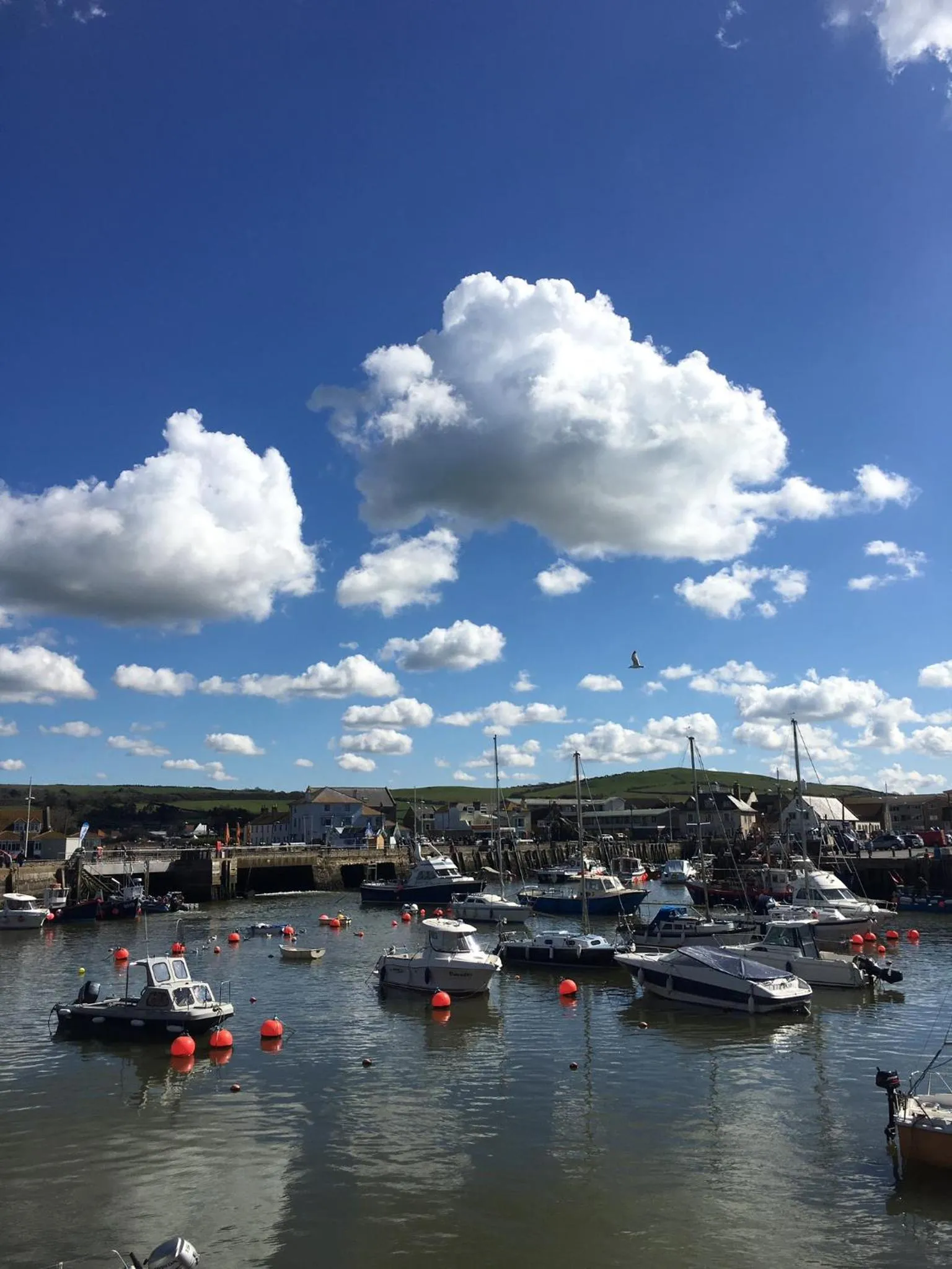 Beach in Heatherbell Cottage Guest Accommodation