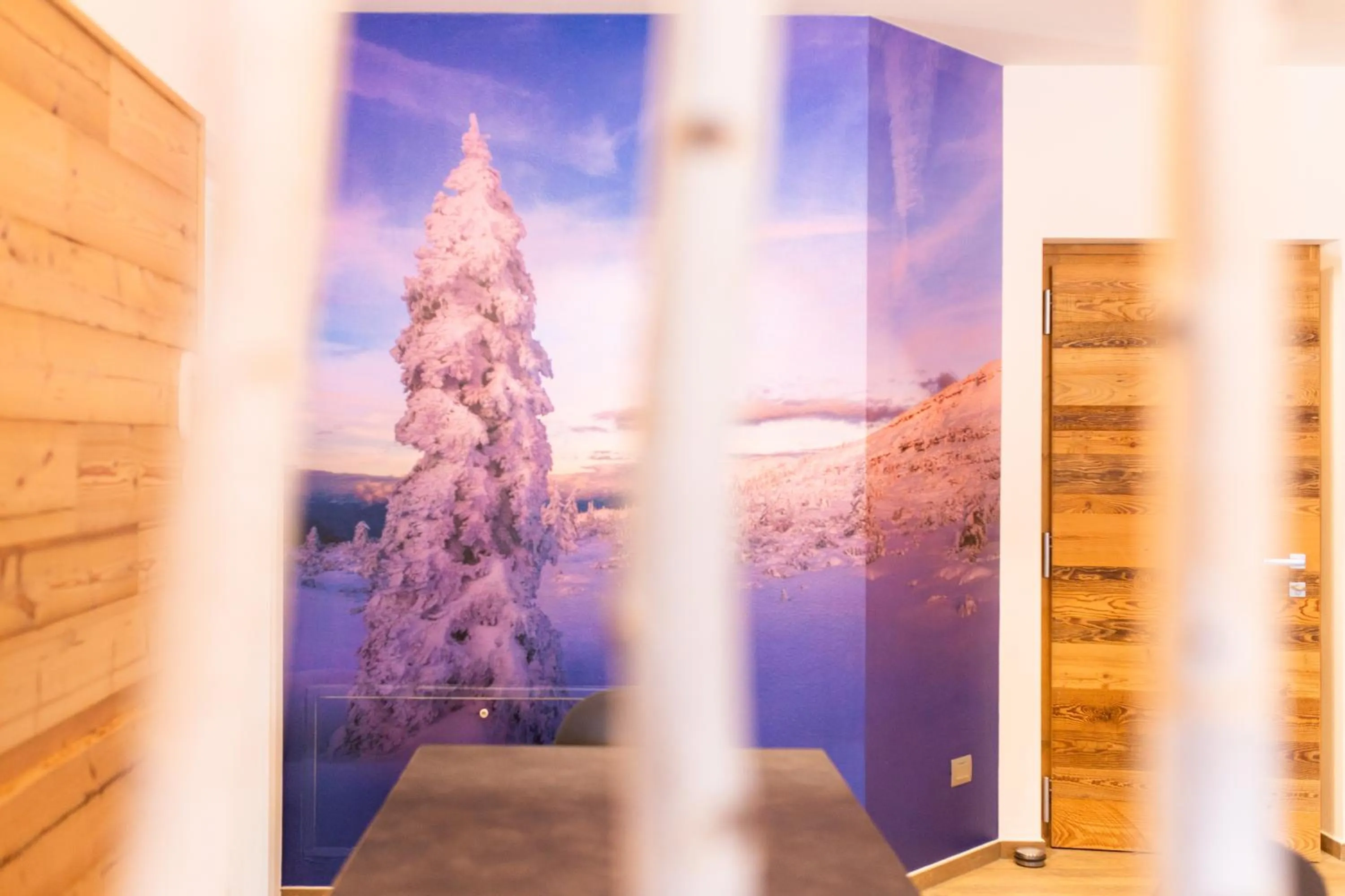 Residence Mille Montagne