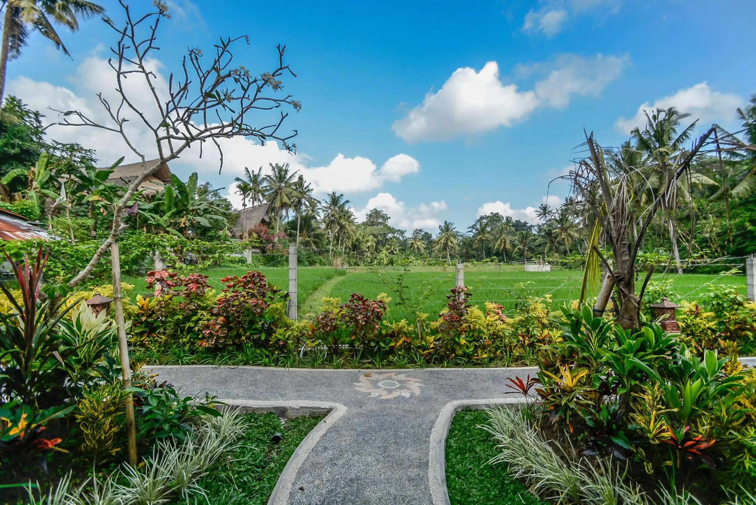 Natural landscape in Le Sabot Ubud