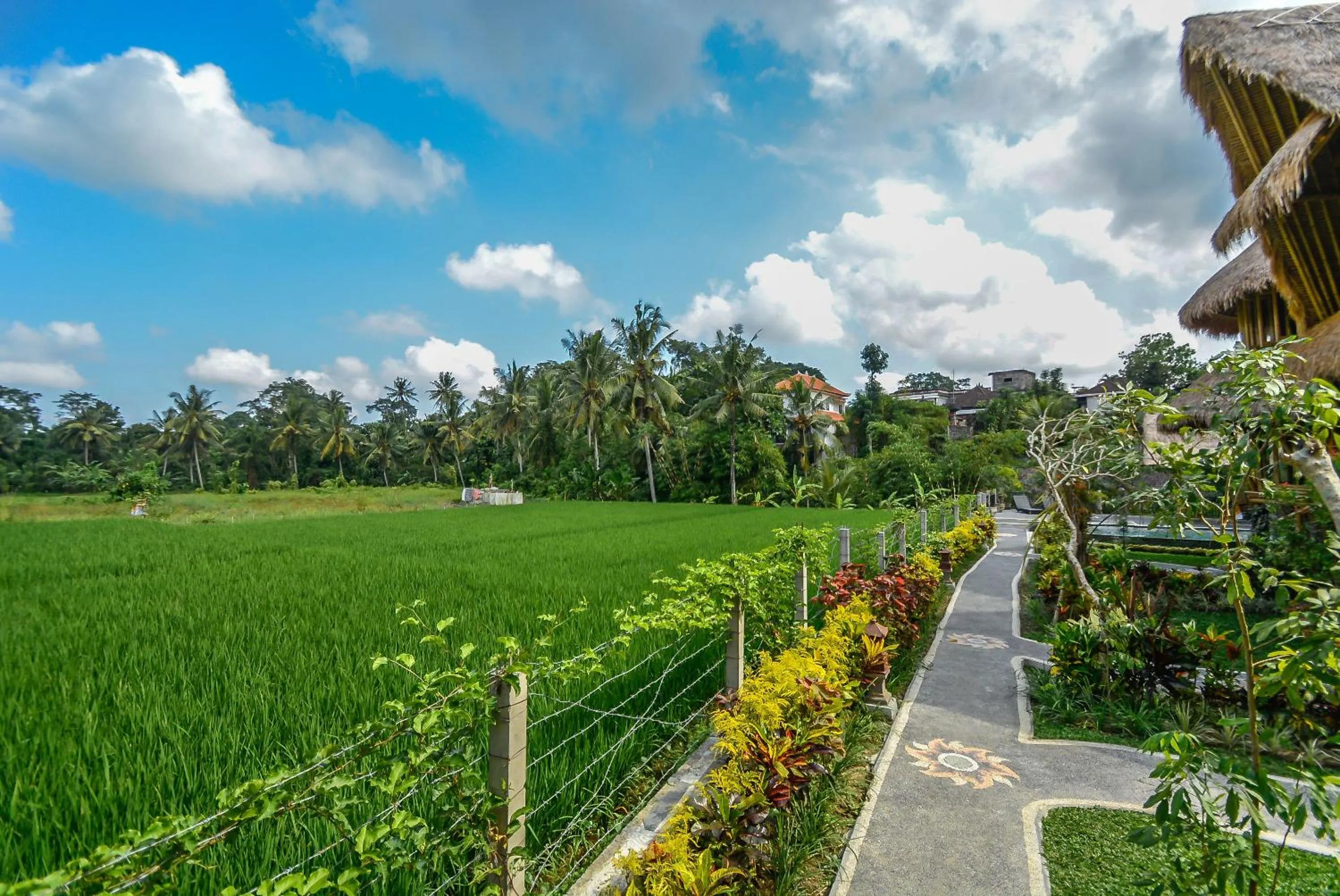 Natural landscape in Le Sabot Ubud