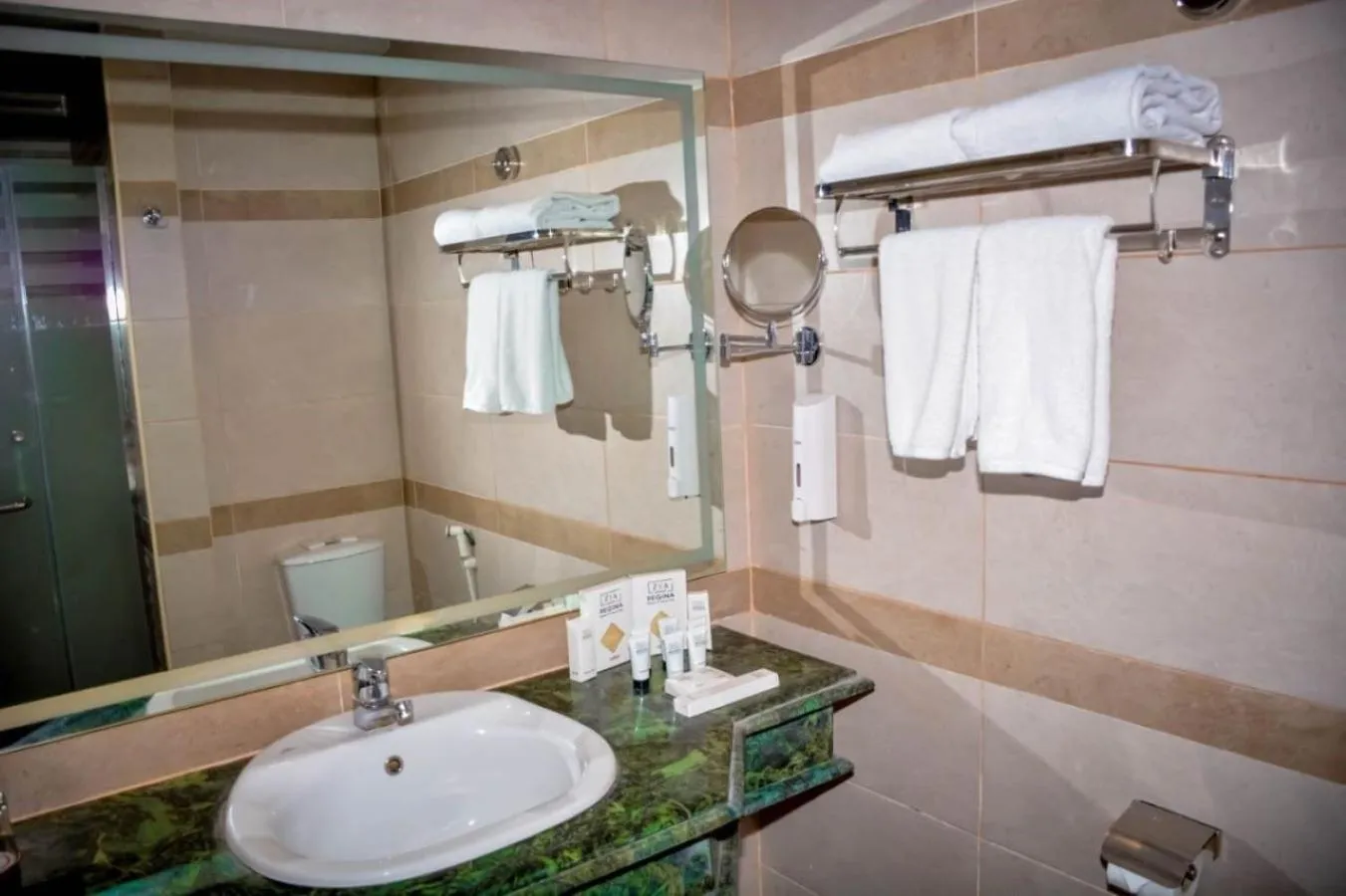 Bathroom in Regina Resort and Aqua Park Hurghada