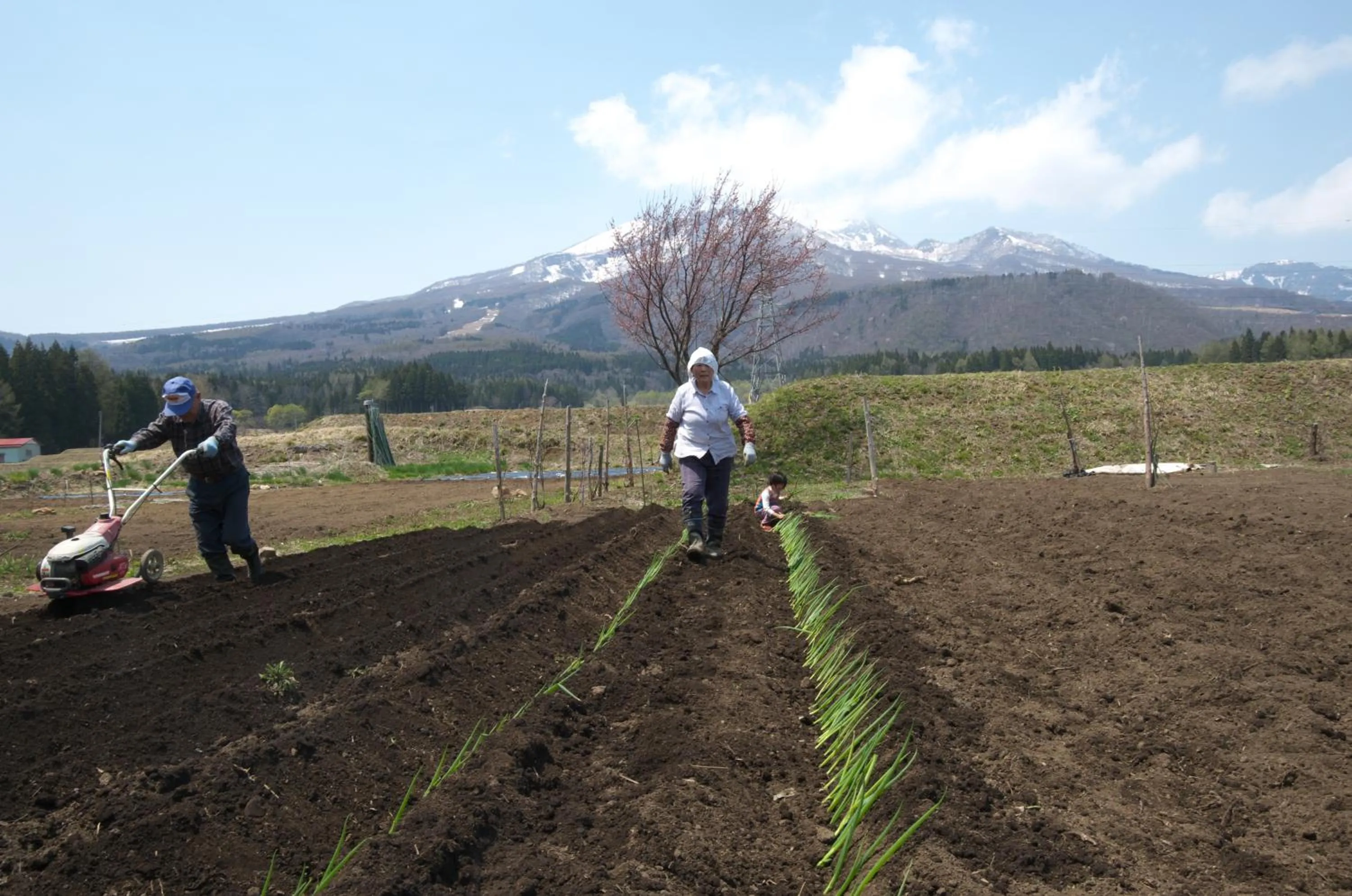 Highland Lodge Takegen