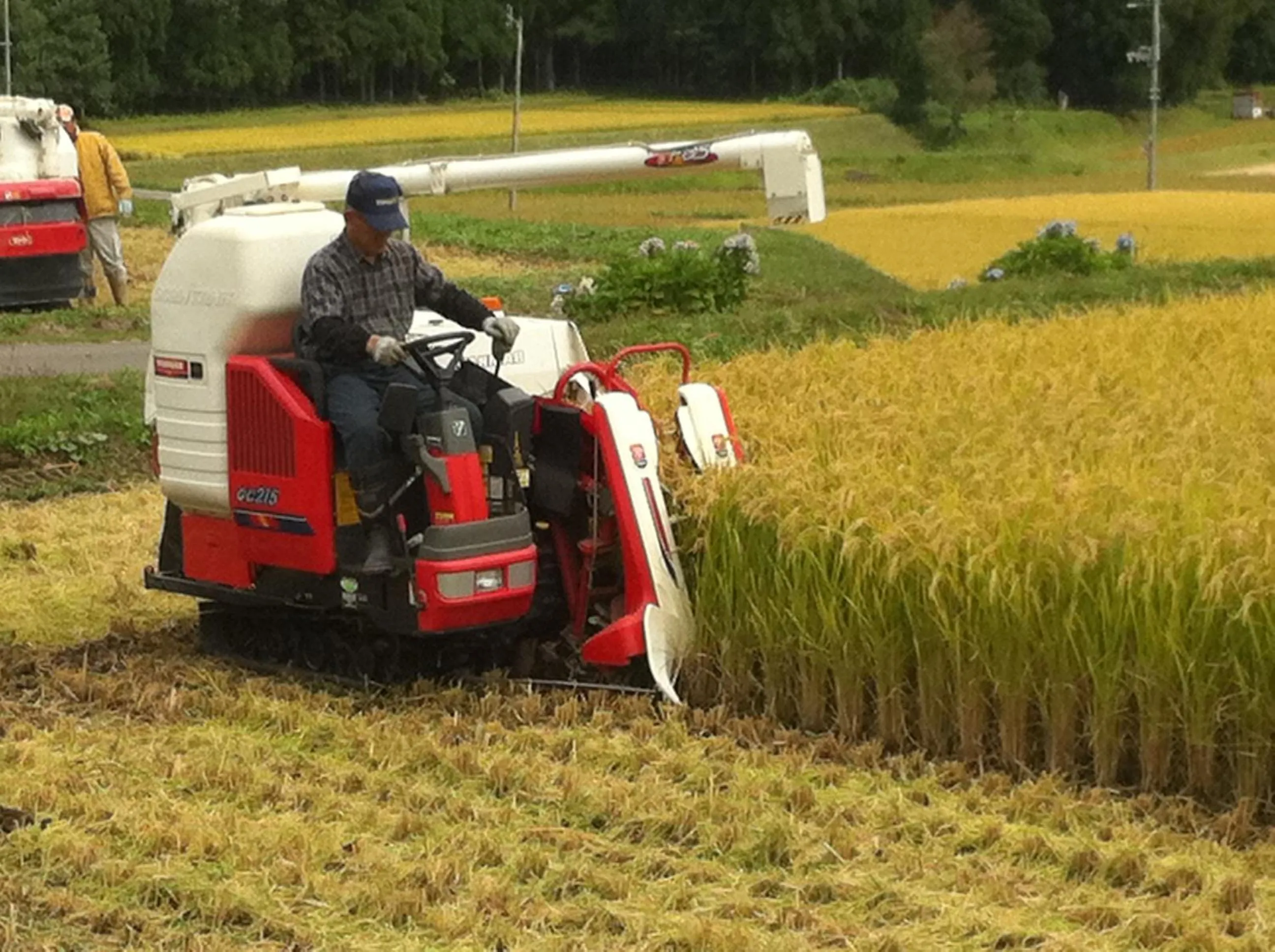 Highland Lodge Takegen