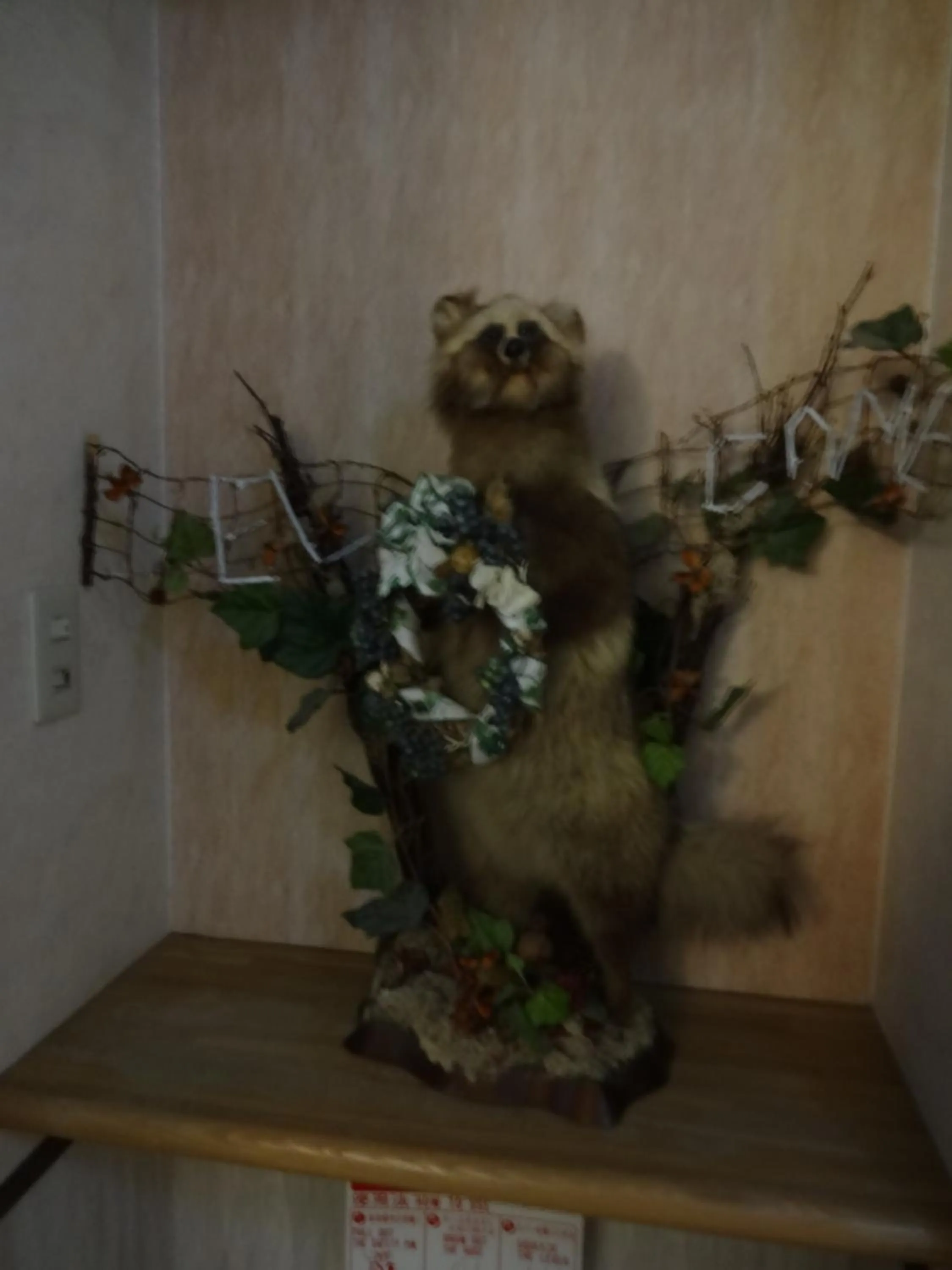 Highland Lodge Takegen