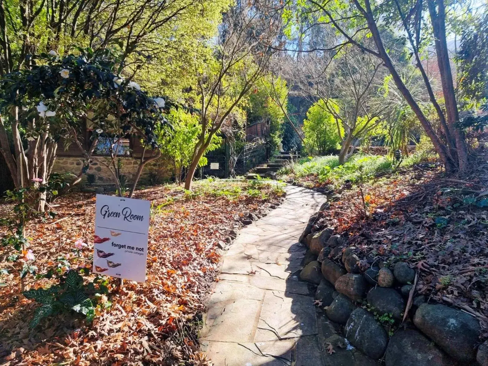 Suite with Mountain View - Green Room in Forget Me Not Cottages Suite with Mountain View - Green Room in Forget Me Not Cottages