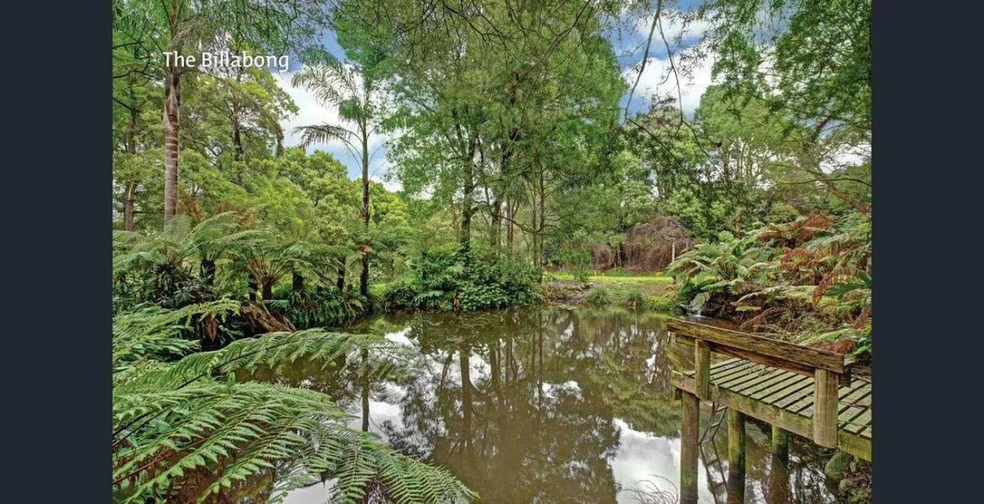 Forget Me Not Cottages