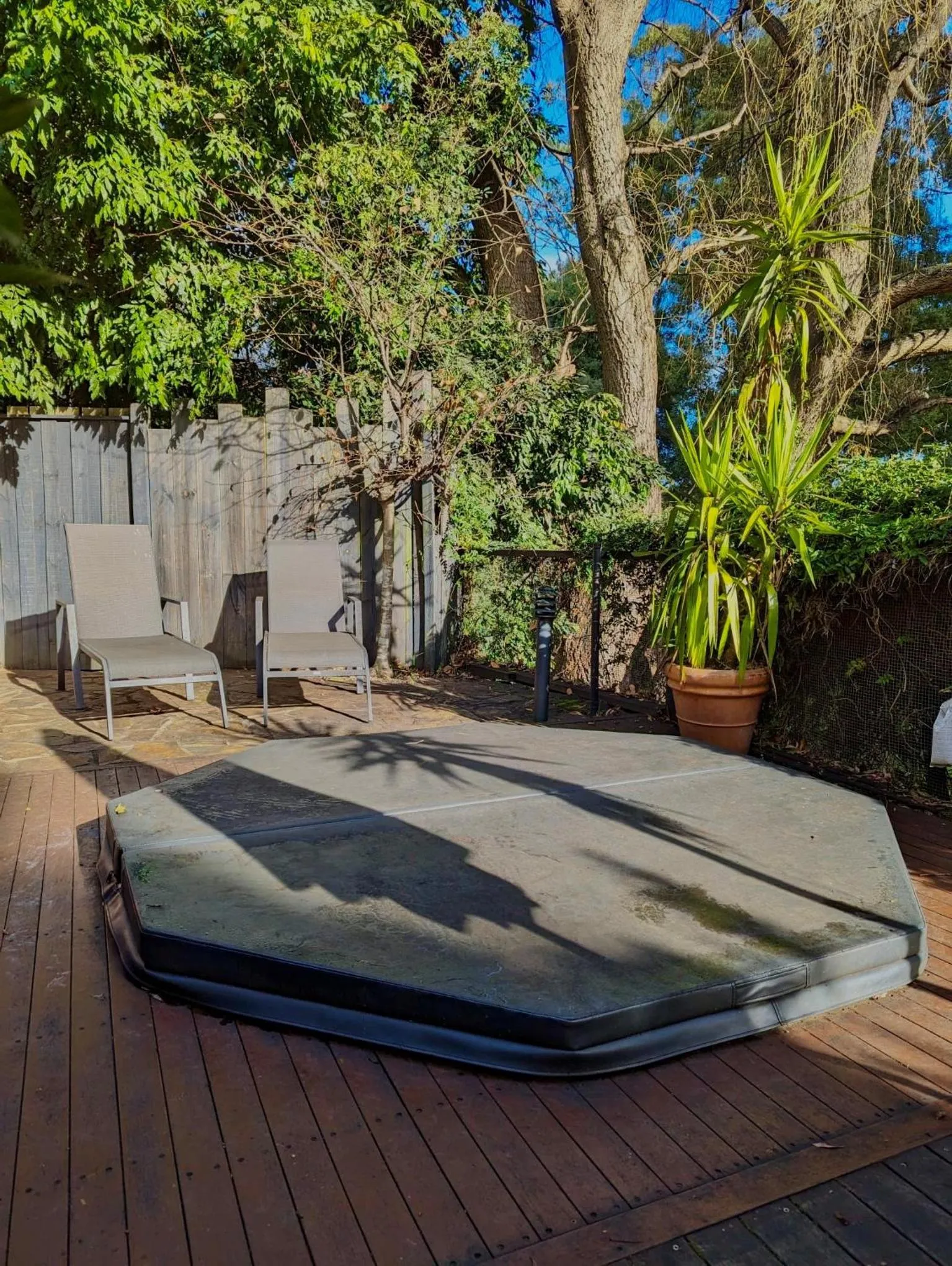 Forget Me Not Cottages