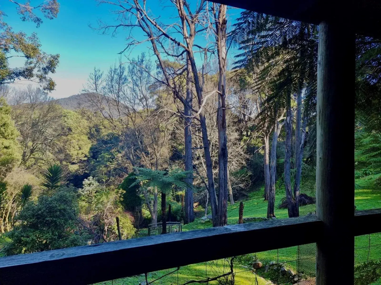 Deluxe Suite with Spa Bath - Music Room in Forget Me Not Cottages Deluxe Suite with Spa Bath - Music Room in Forget Me Not Cottages