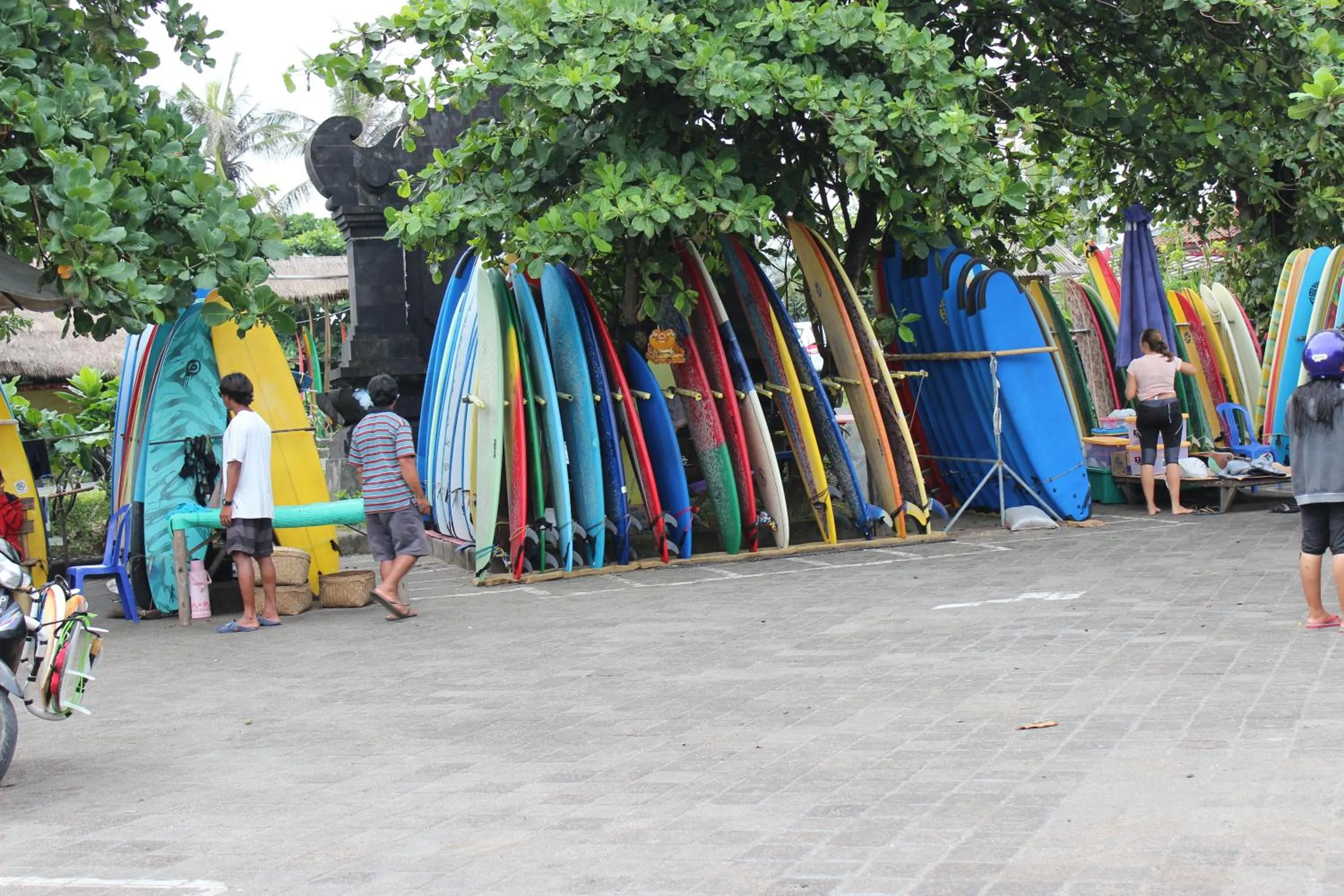 Area and facilities in The Calmtree Bungalows