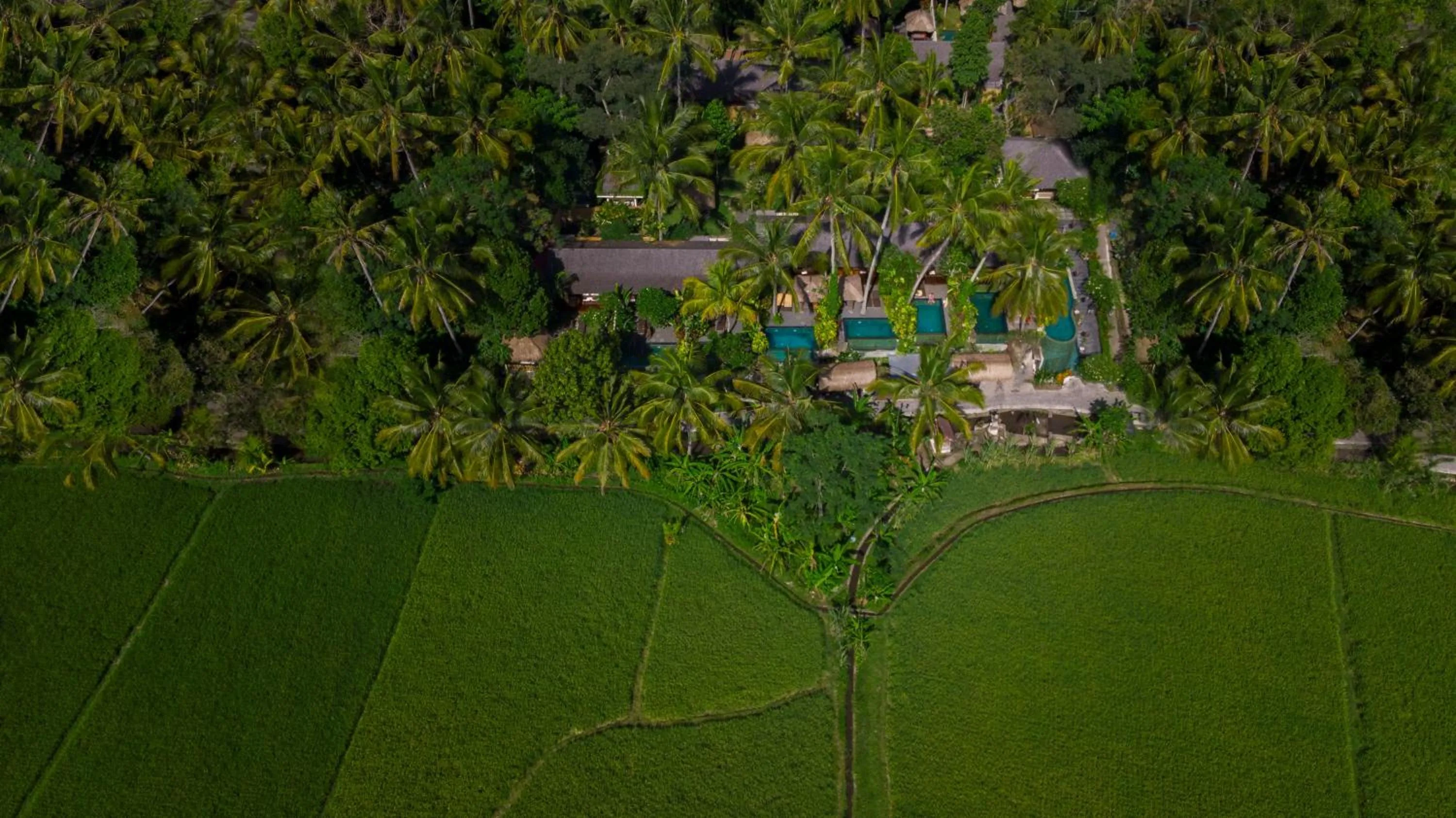 Bird's eye view in Ubud Padi Villas