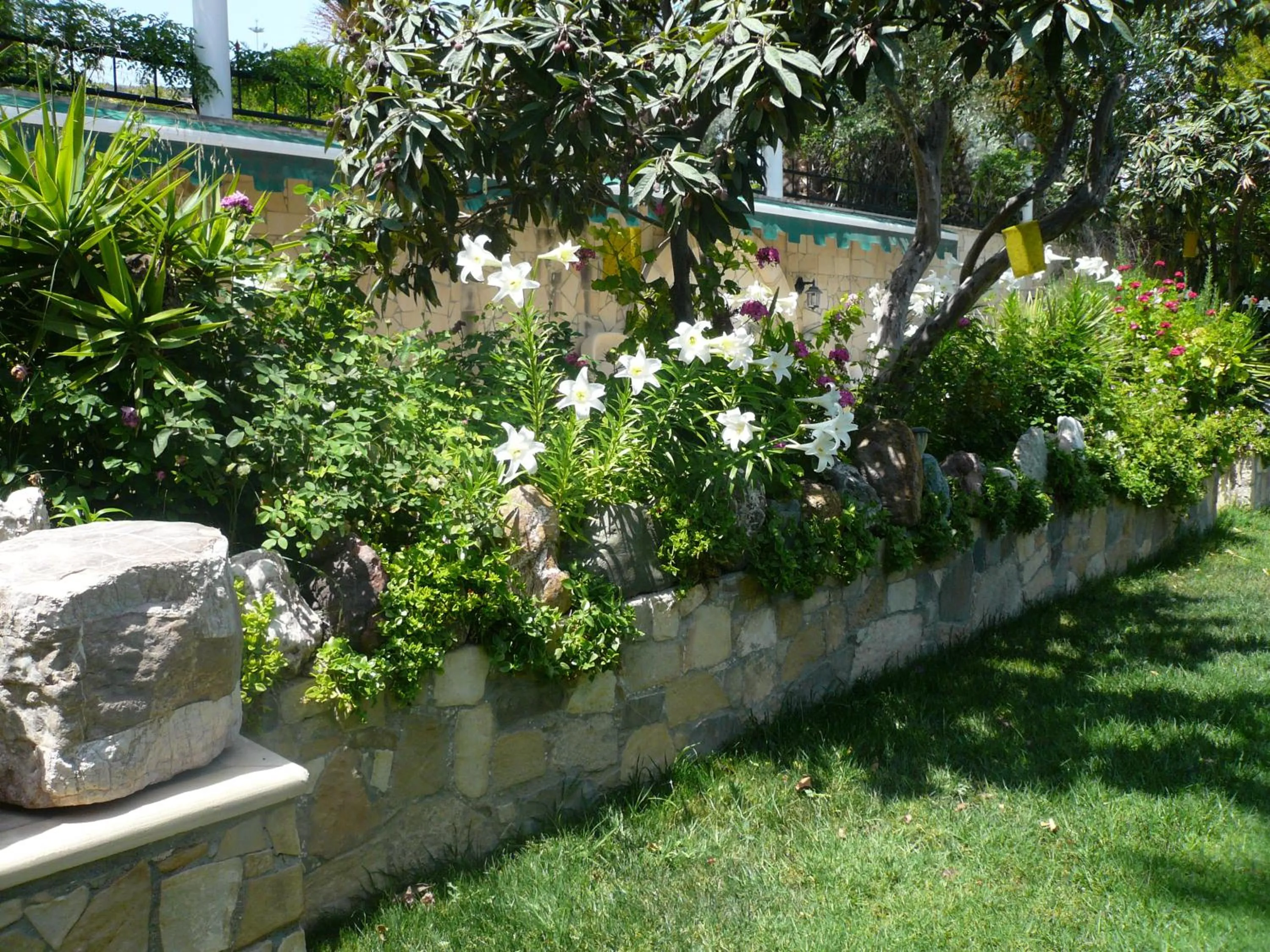 Patio in Greenfields Country Club