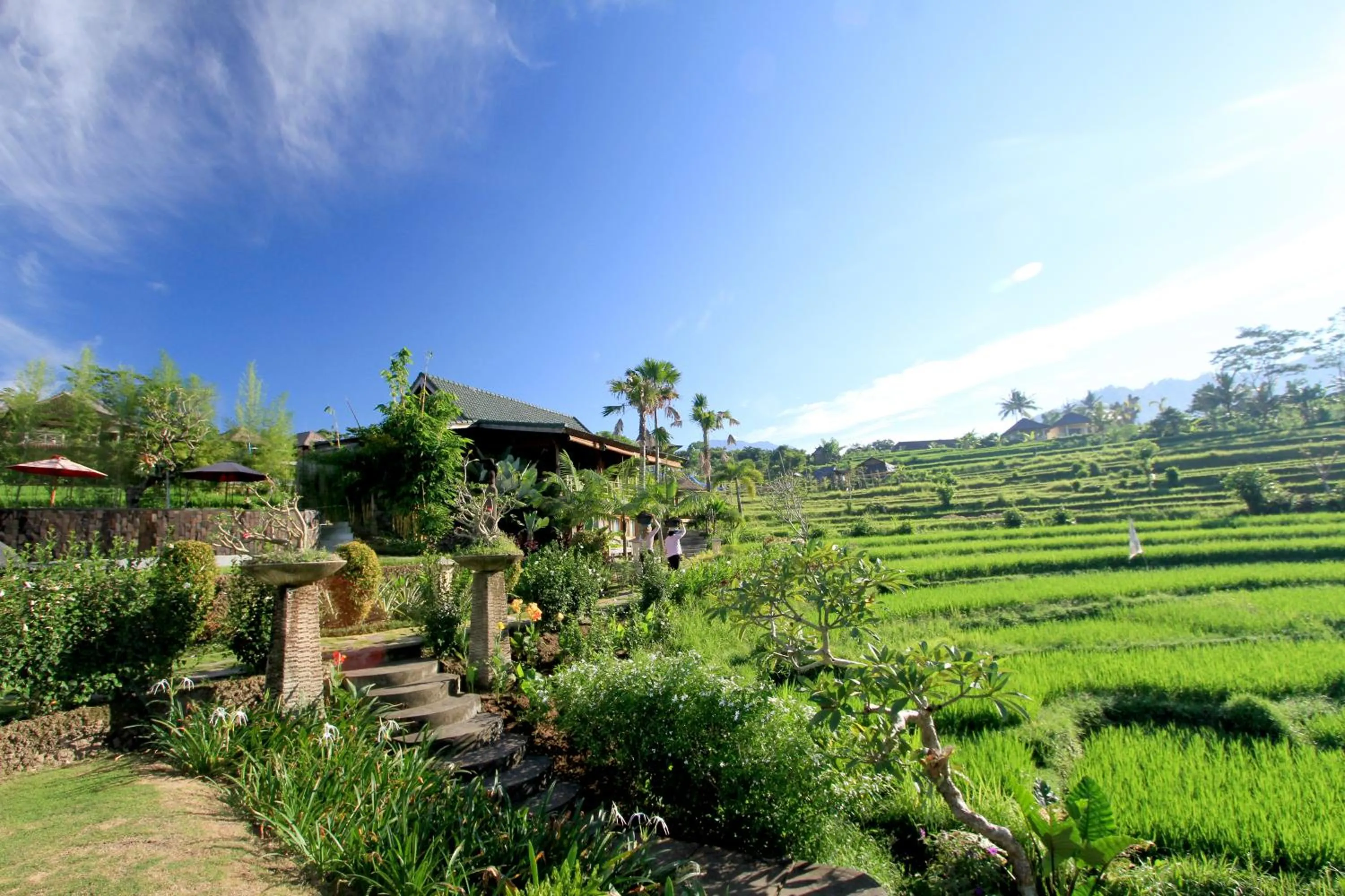 Natural landscape in Sawah Indah Villa
