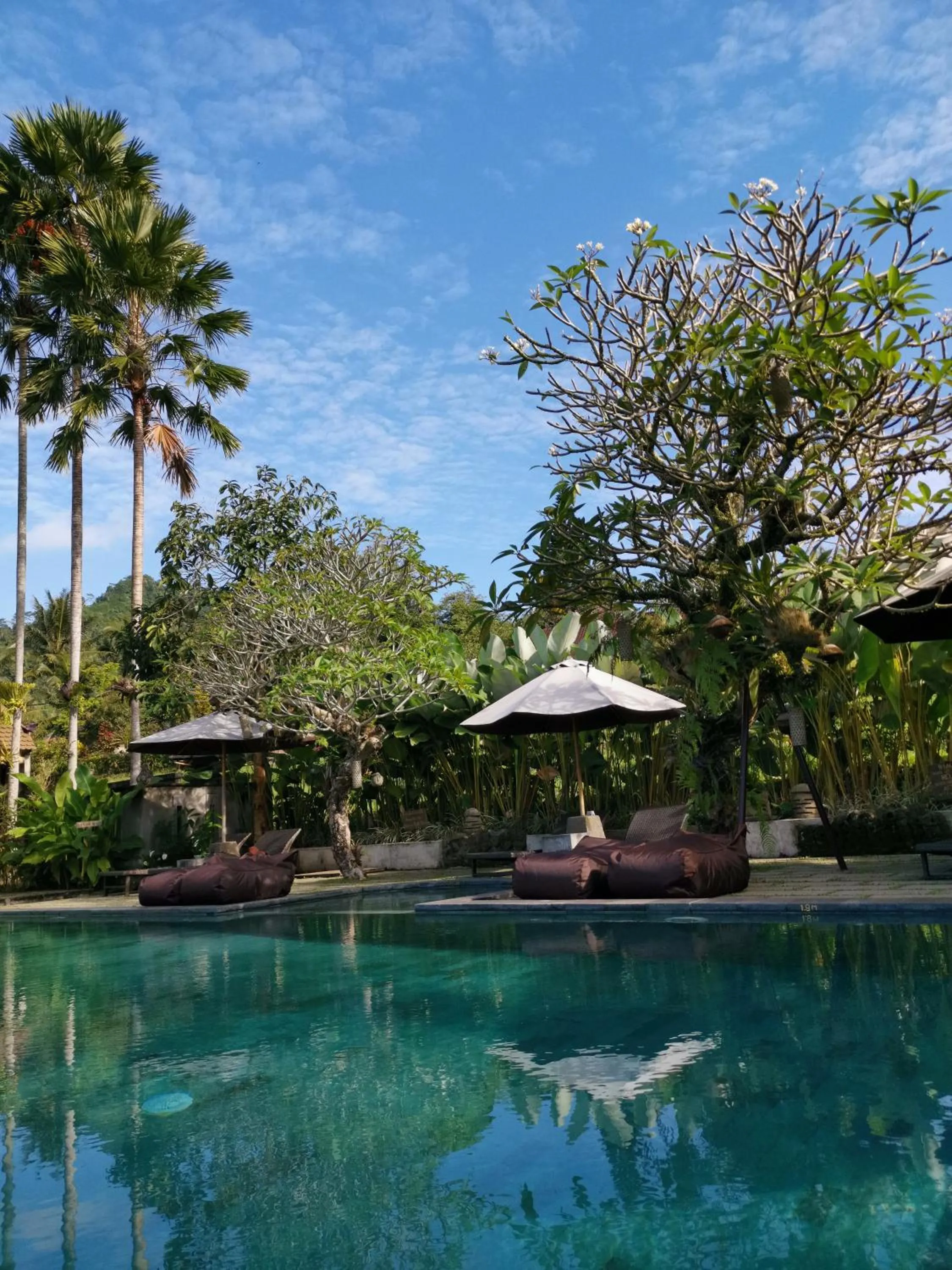 Swimming pool in Sawah Indah Villa
