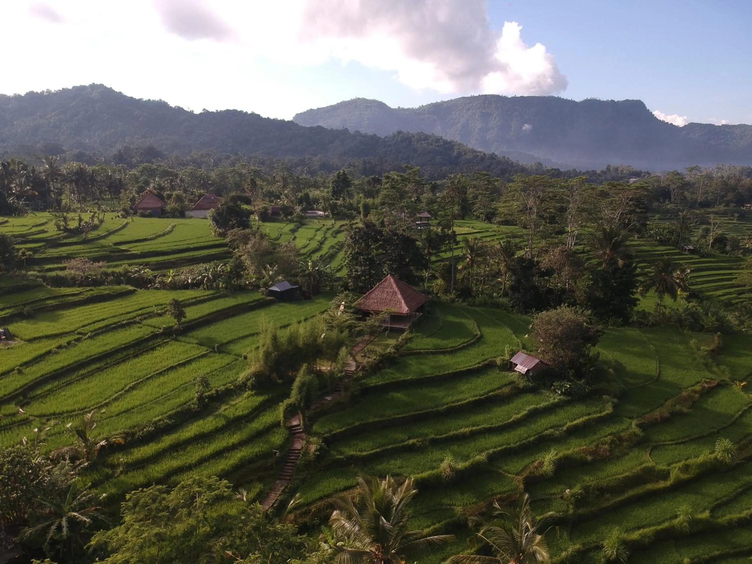 Natural landscape in Sawah Indah Villa