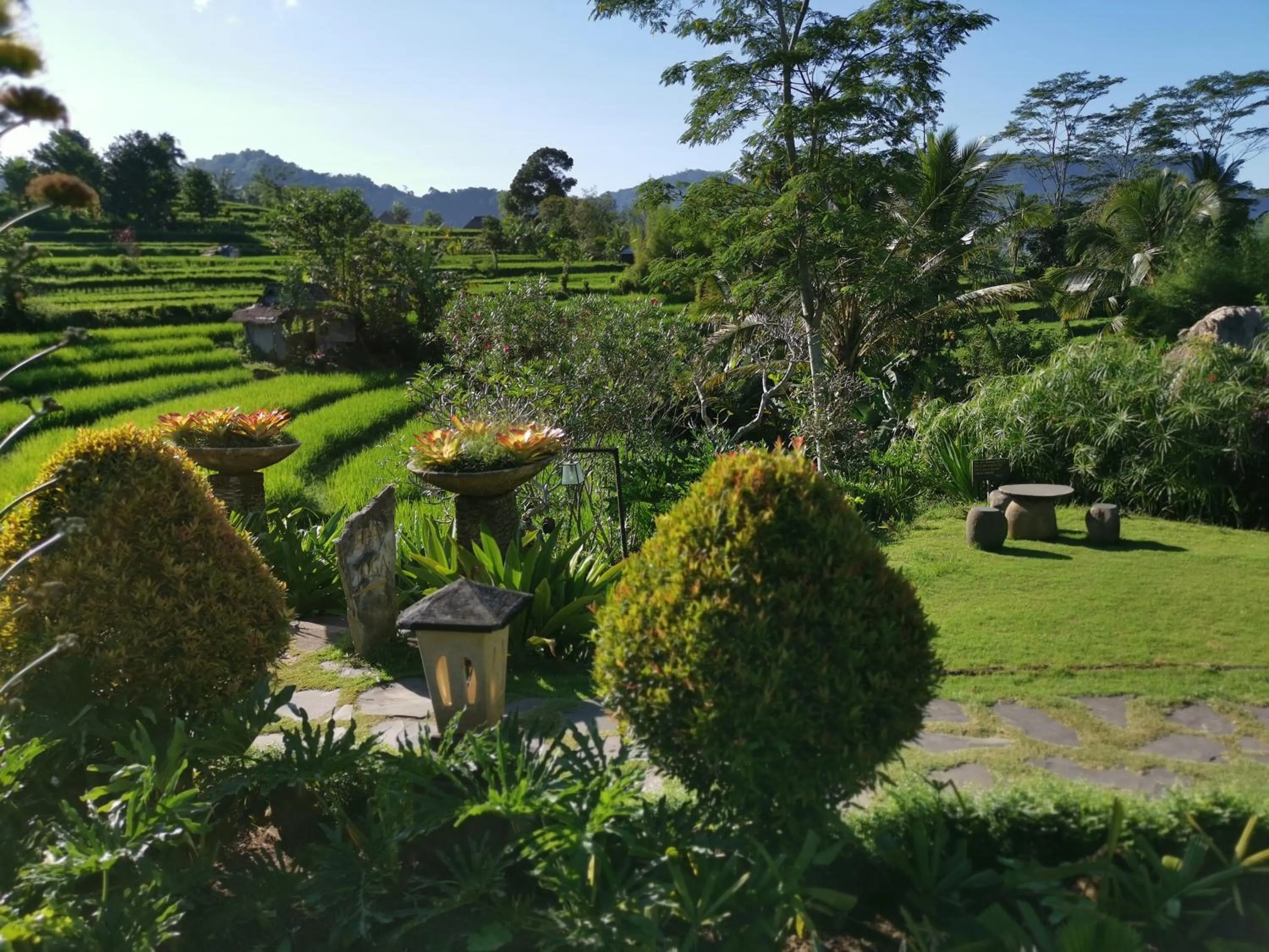 Garden view in Sawah Indah Villa
