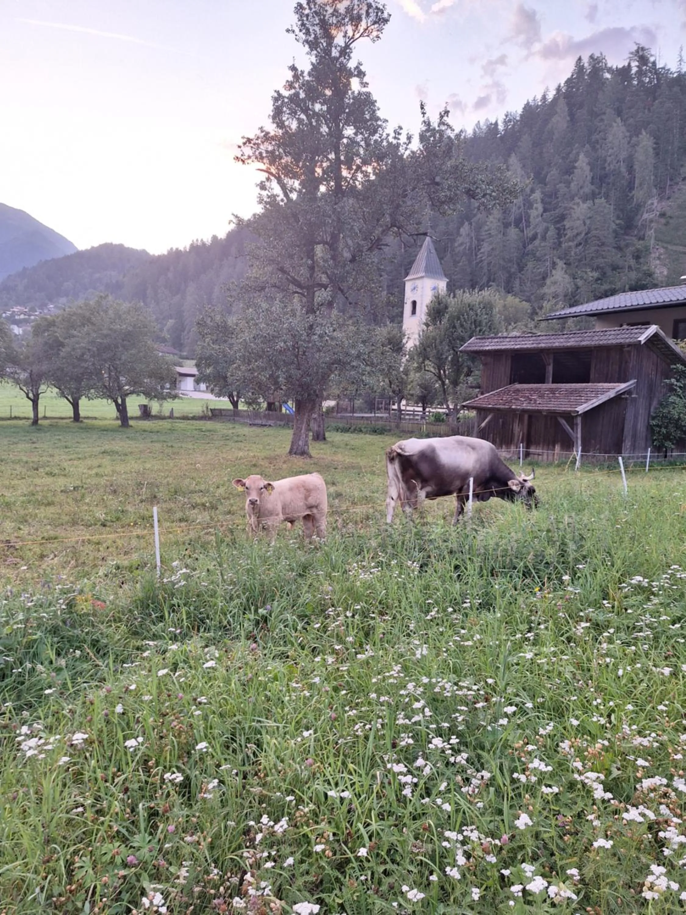 Zirnberg Appartements