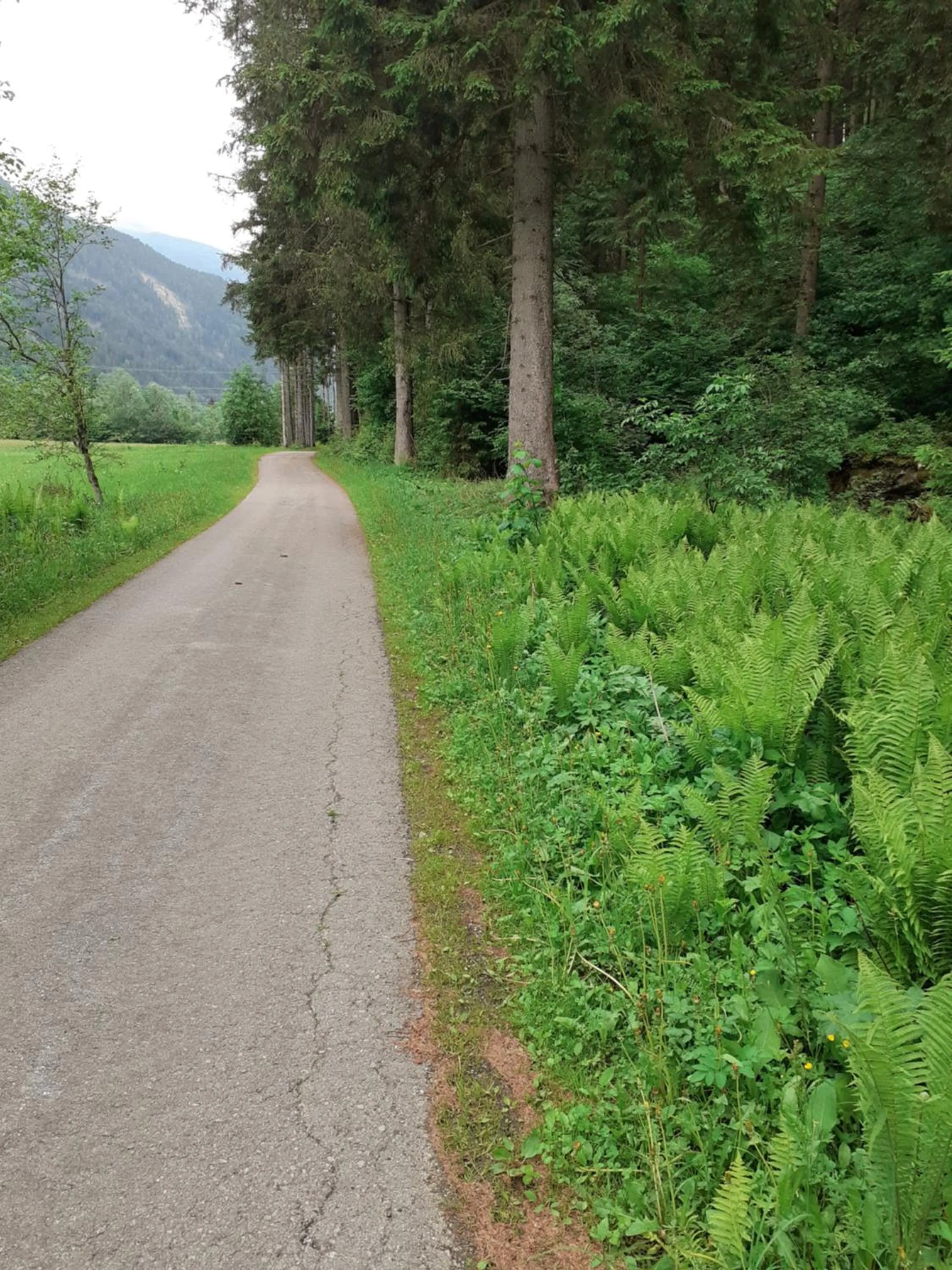 Zirnberg Appartements