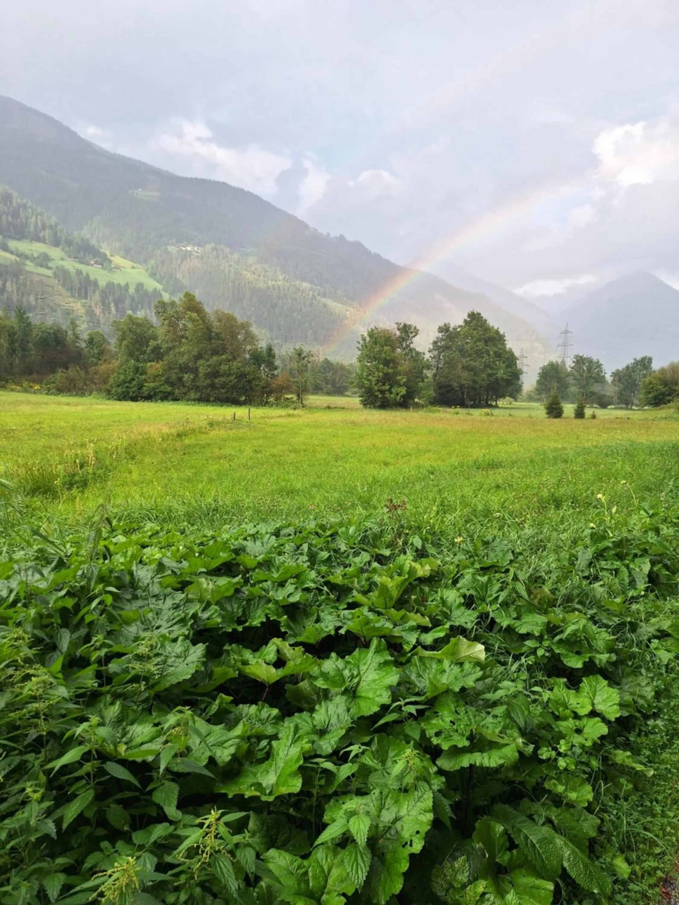 Zirnberg Appartements