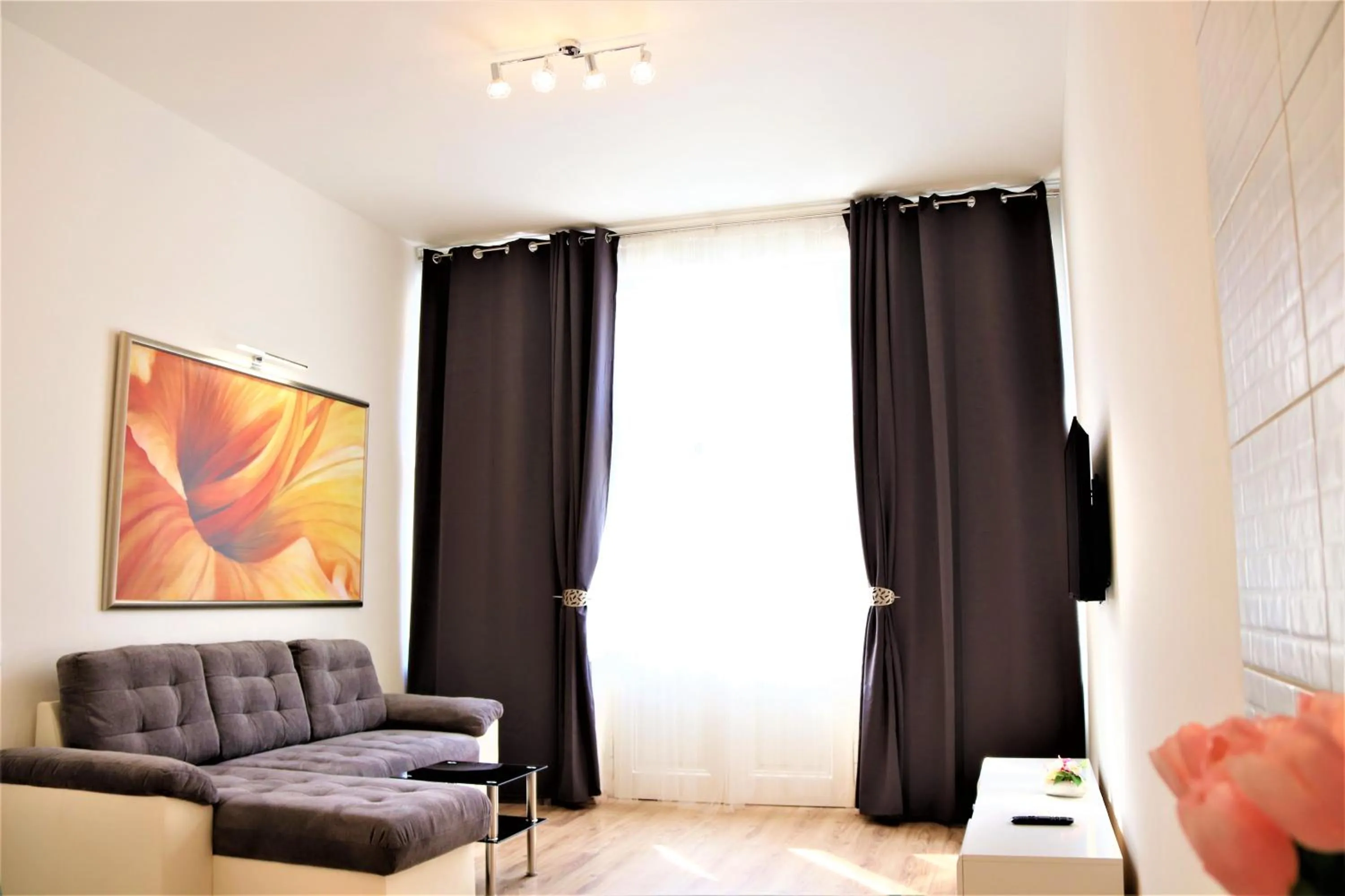 Living room in Flowers apartments