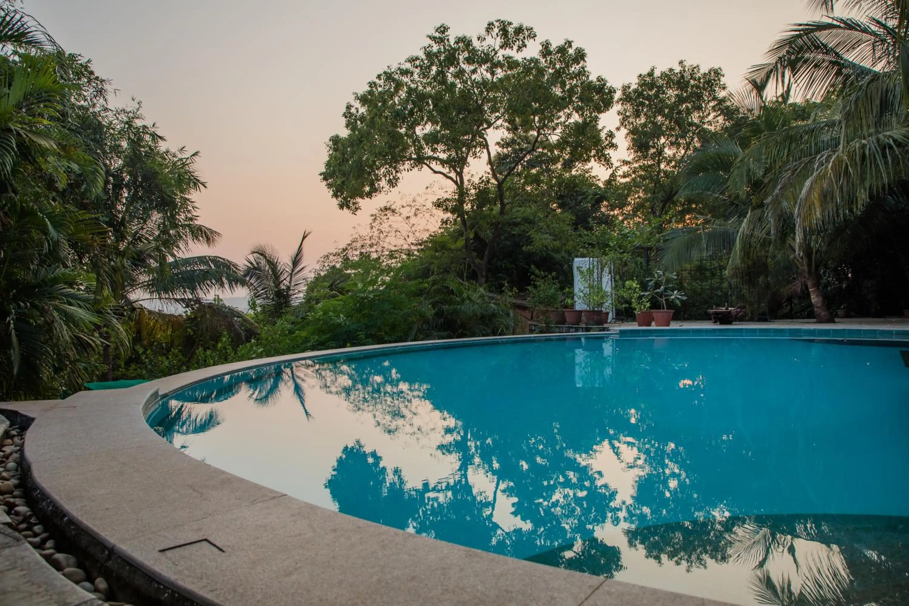 Swimming pool in Wildflower Goa