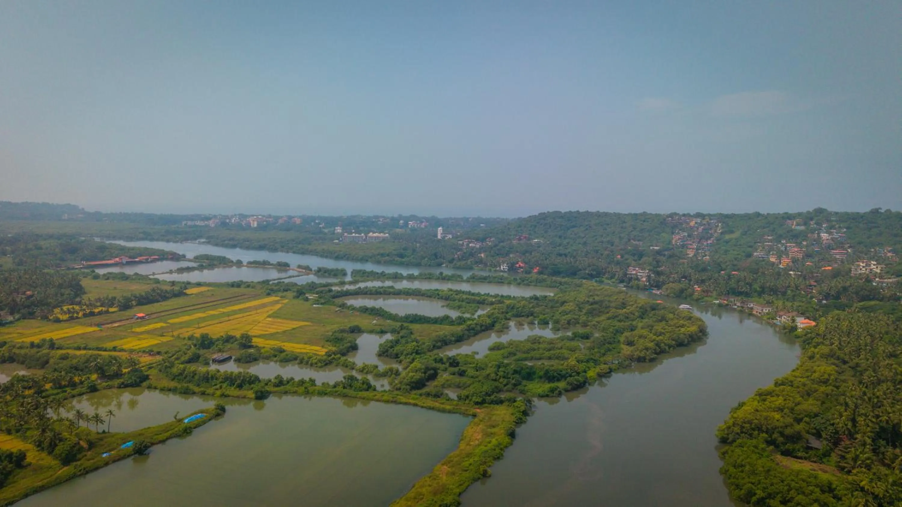 View (from property/room) in Wildflower Goa