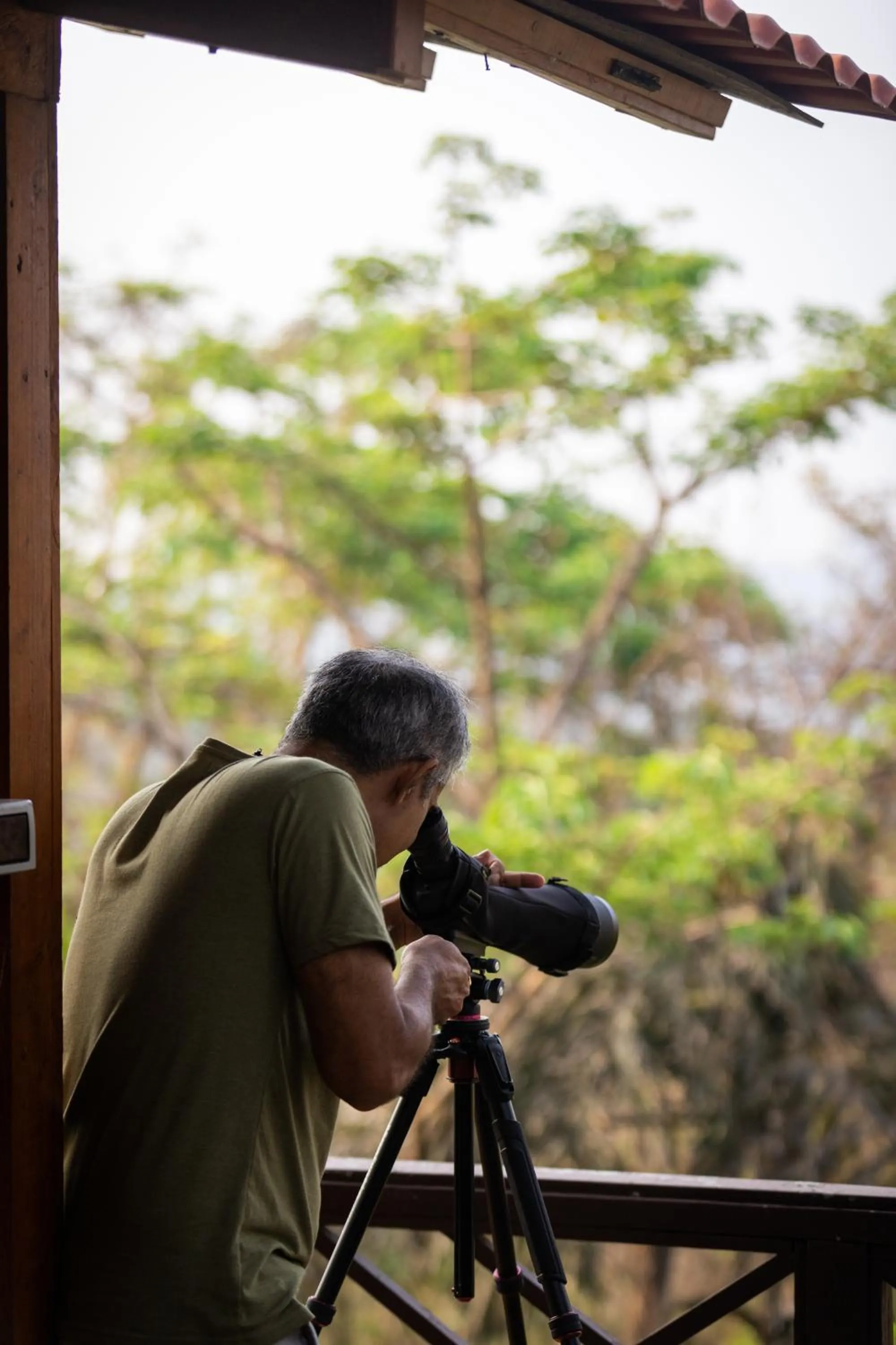 Property building in Wildflower Goa