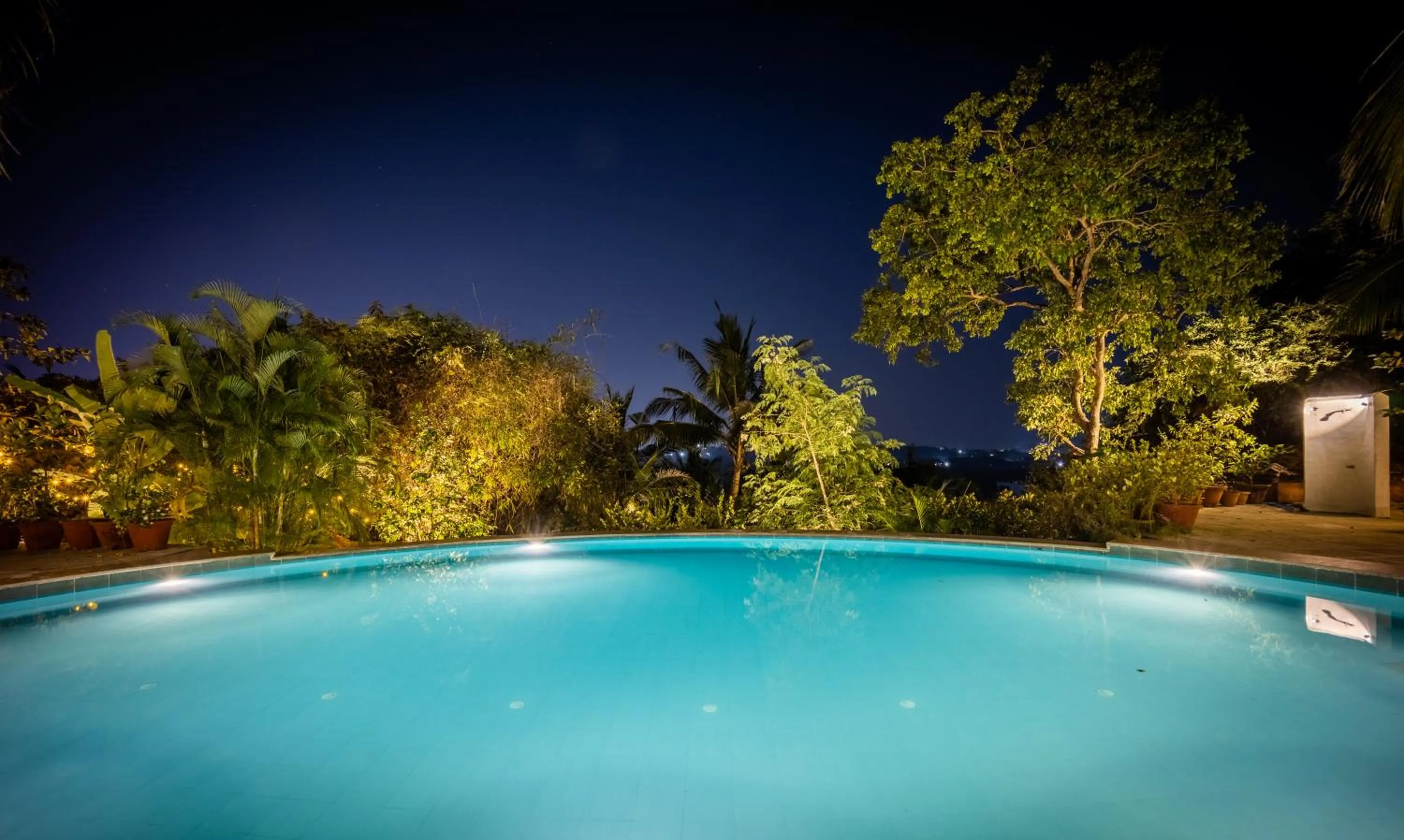 Swimming pool in Wildflower Goa