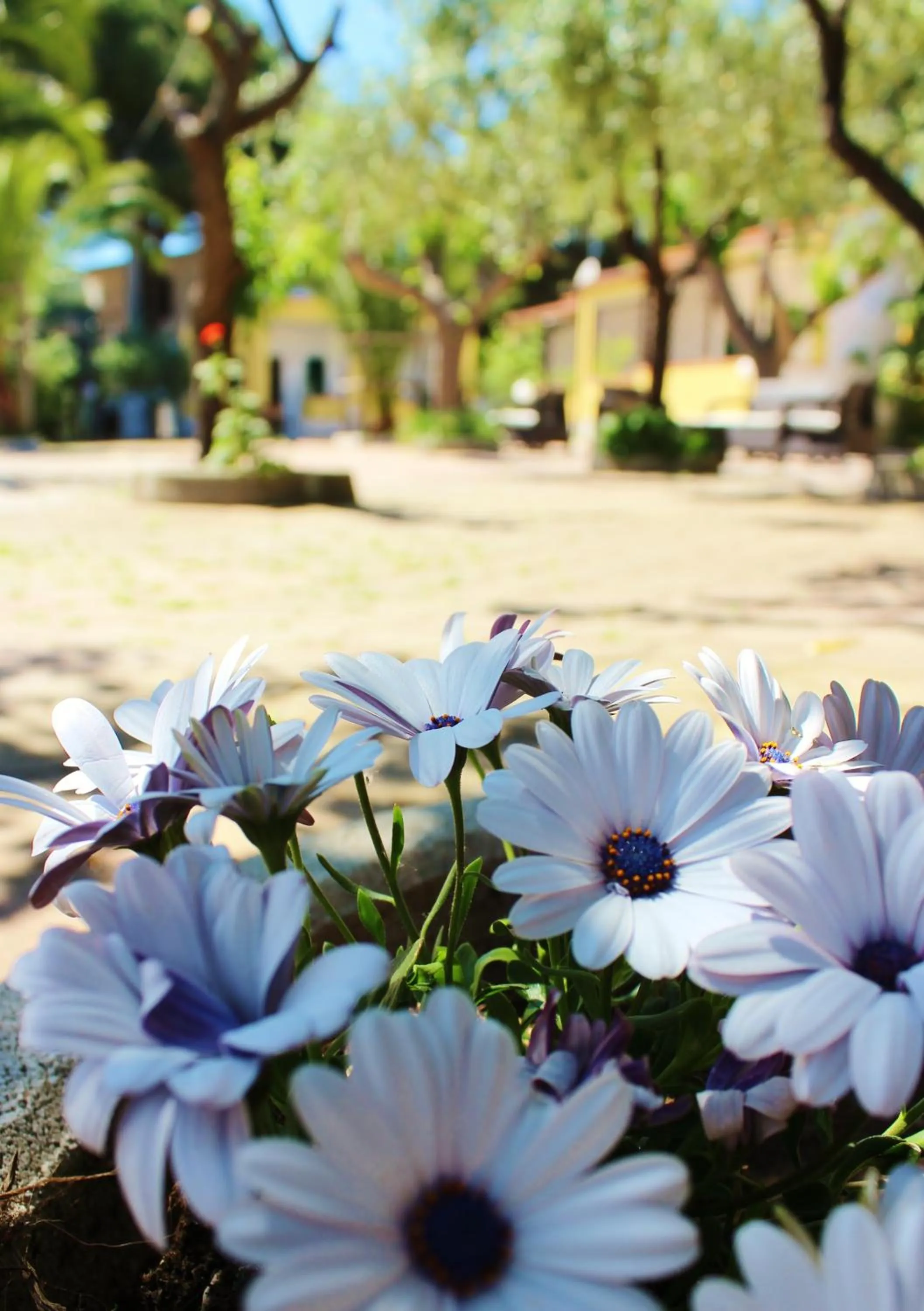 Garden in Residence Rendez Vous
