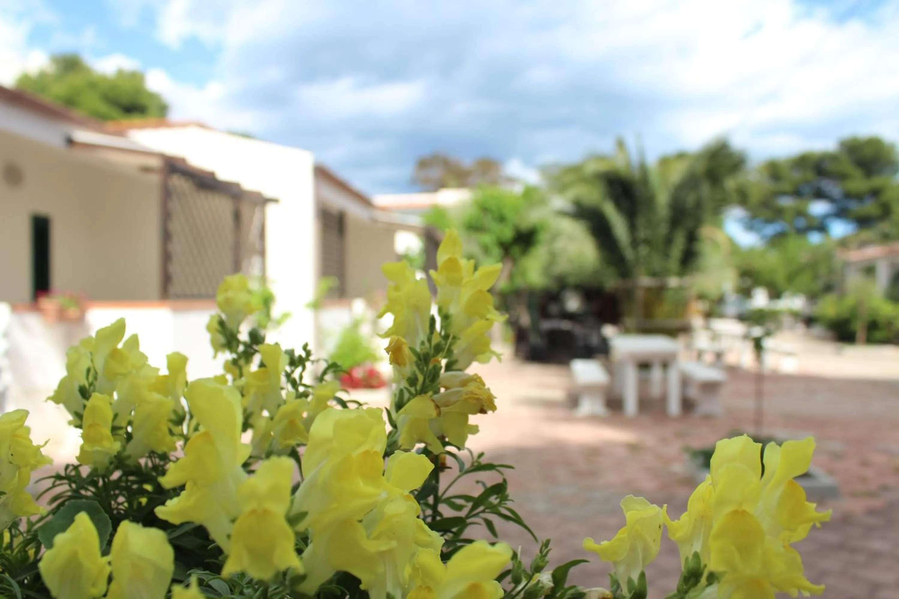 Spring in Residence Rendez Vous