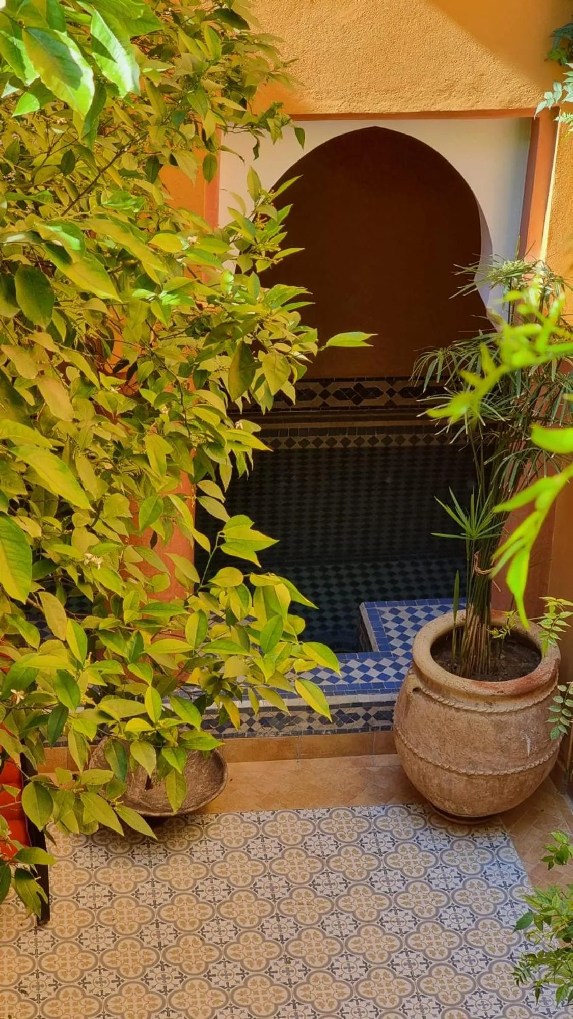 Garden view in Ryad El Borj