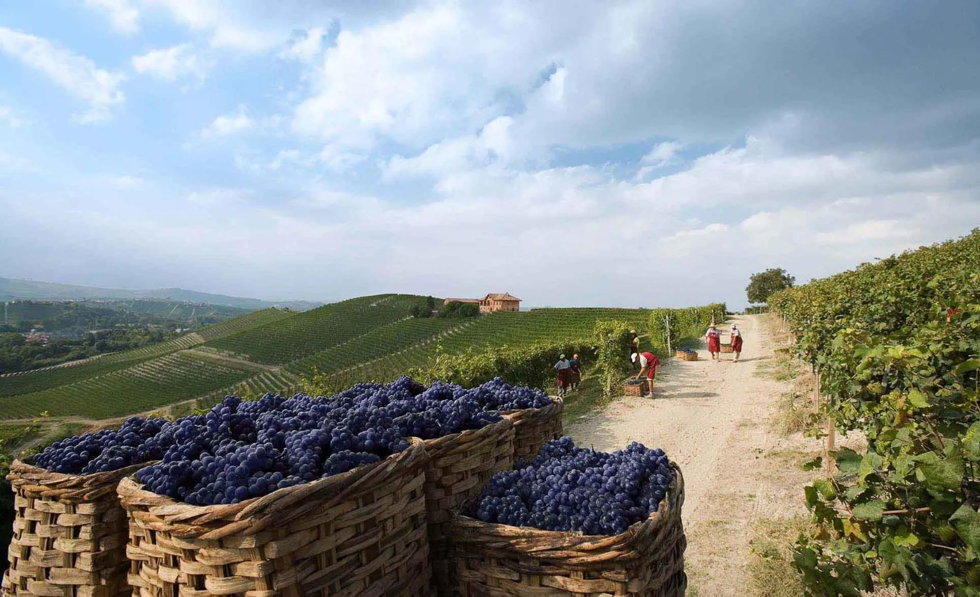 Day in Villaggio Narrante - Le Case dei Conti Mirafiore
