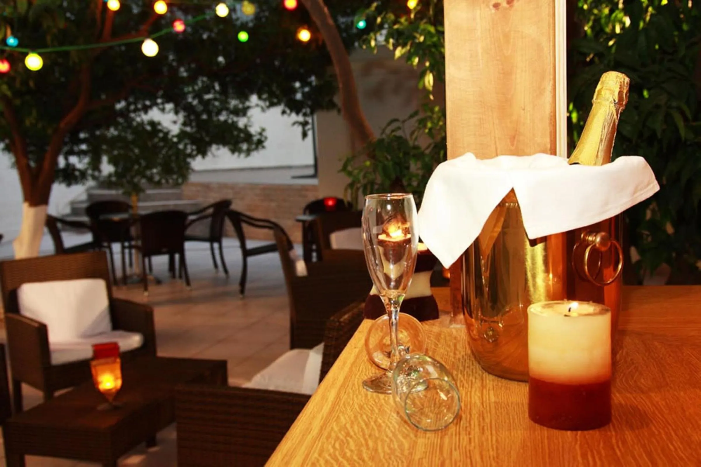 Garden in Nancy Hotel