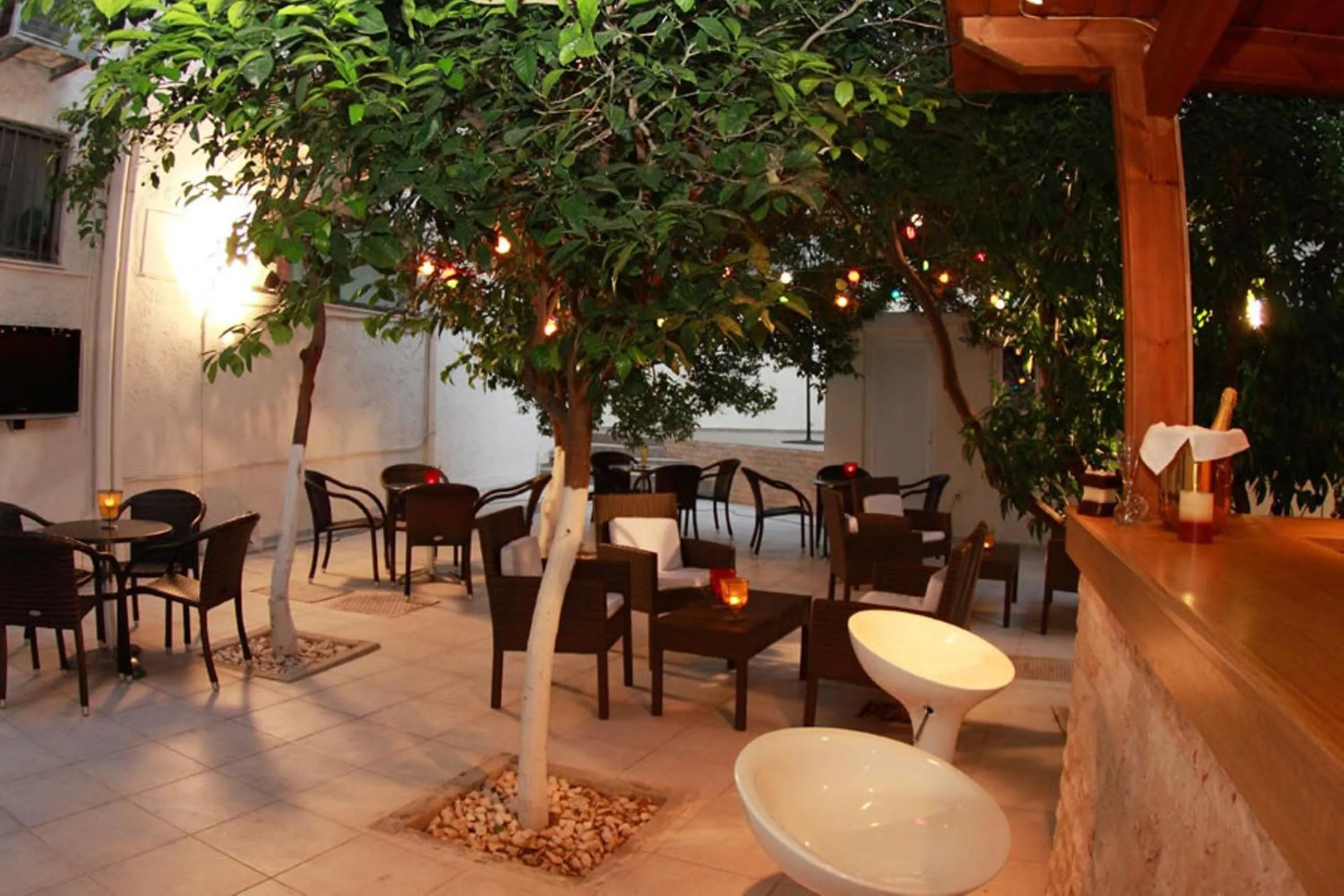 Garden in Nancy Hotel