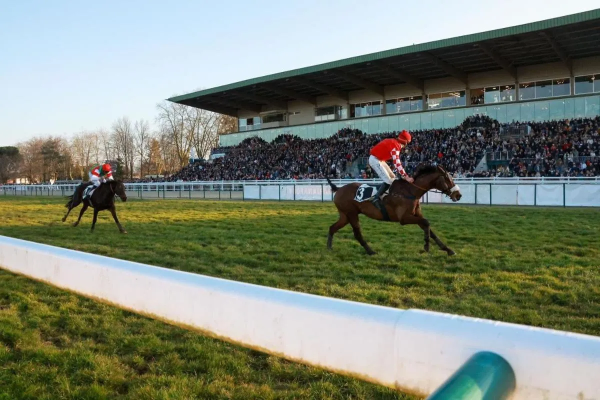 Entertainment in B&B HOTEL Pau Zénith