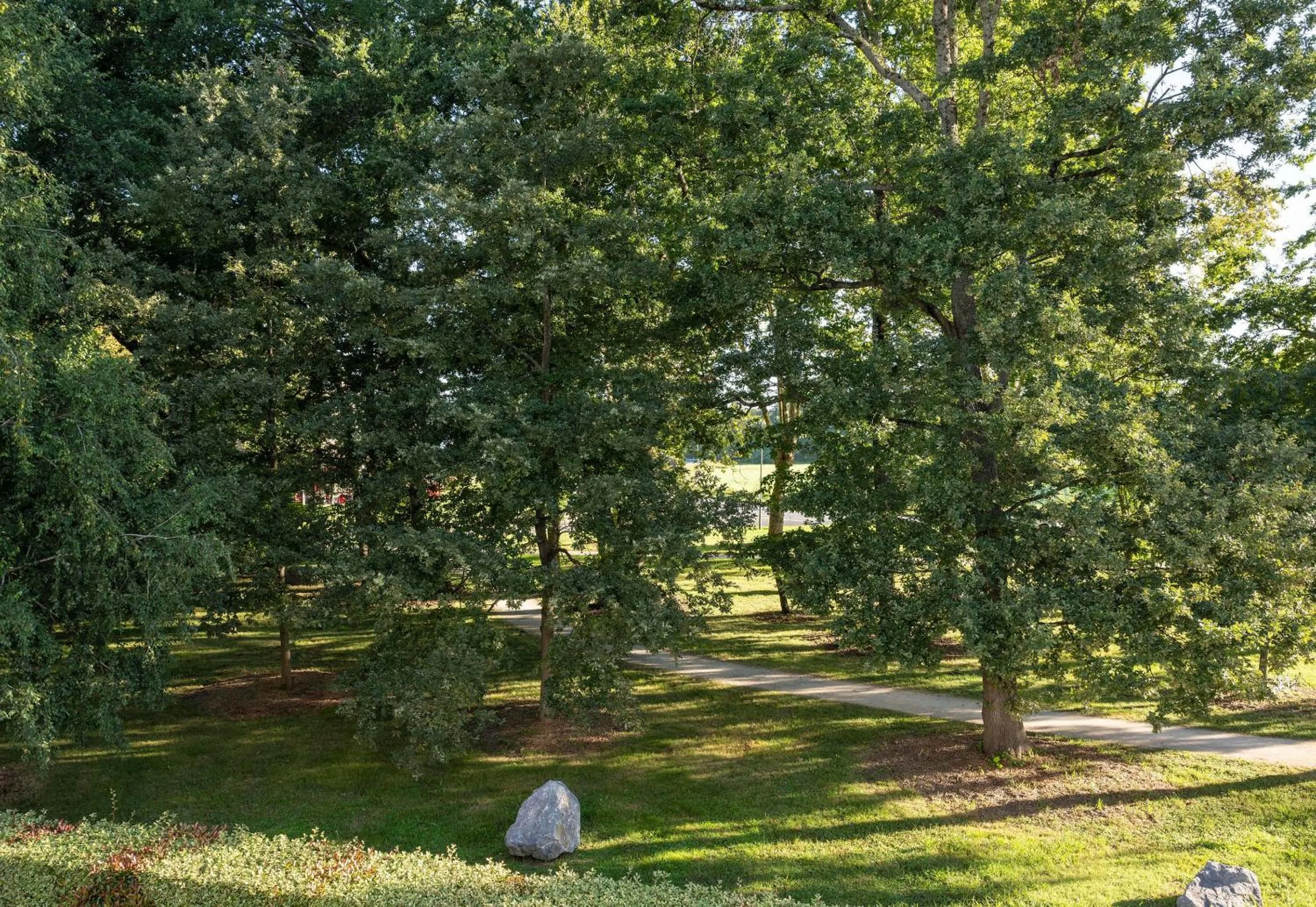 Garden view in B&B HOTEL Pau Zénith