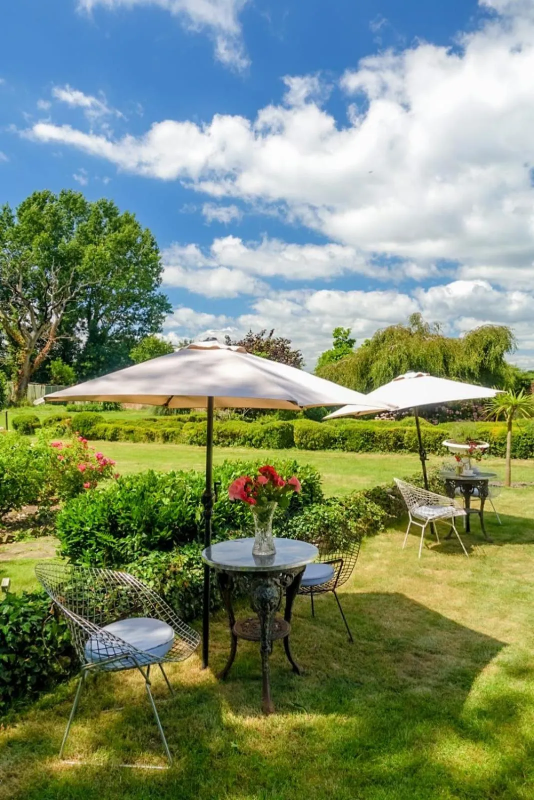 Swimming pool in Cedar House Boutique B&B