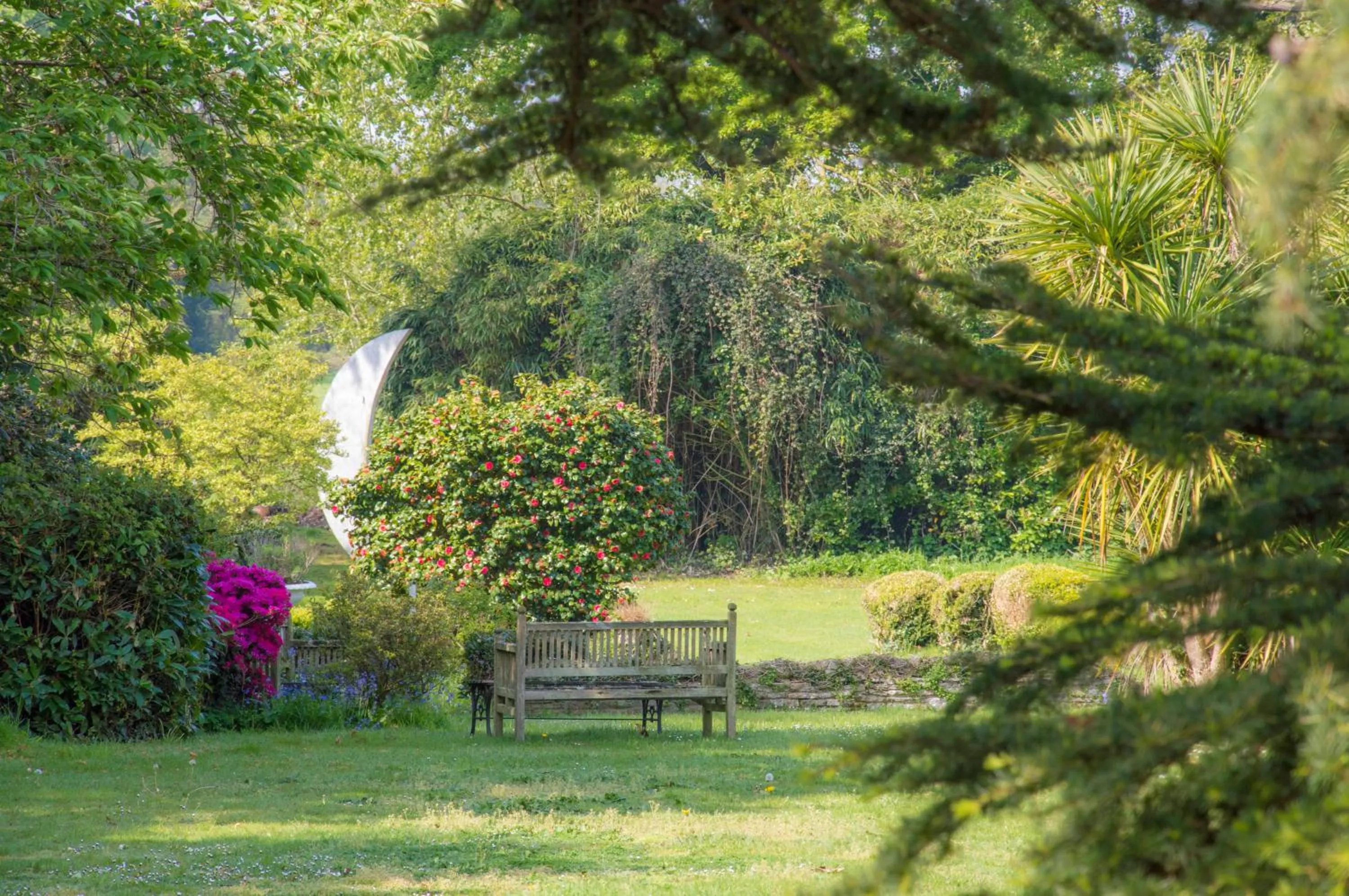 Garden in Cedar House Boutique B&B